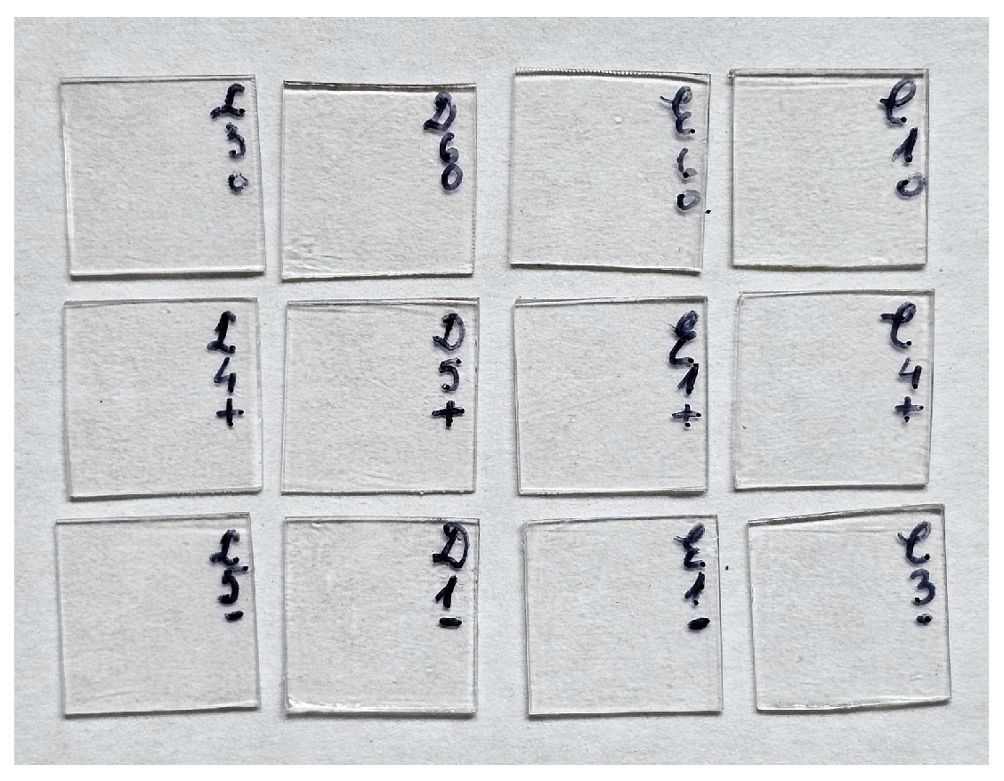 Biomimetics 09 00379 g001