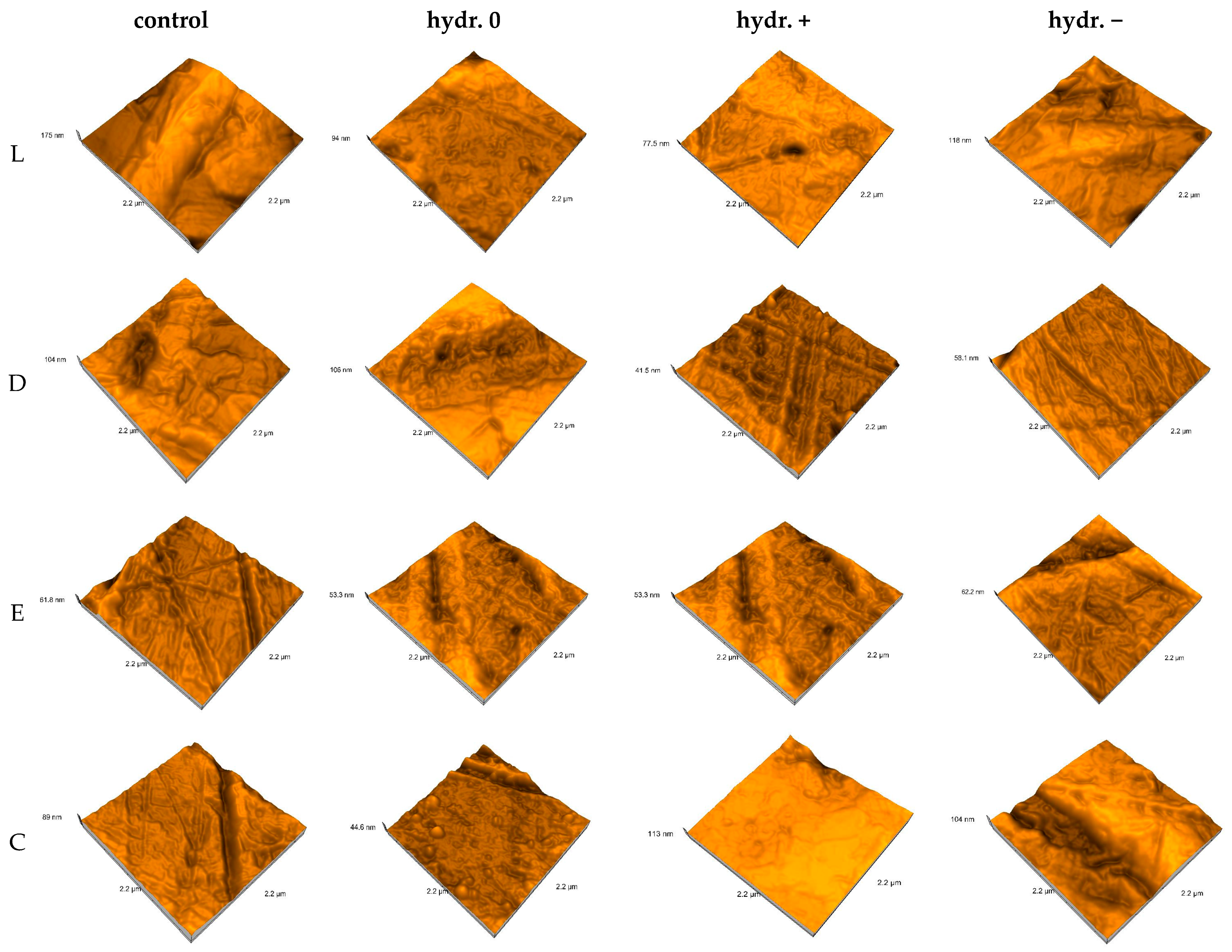 Biomimetics 09 00379 g006