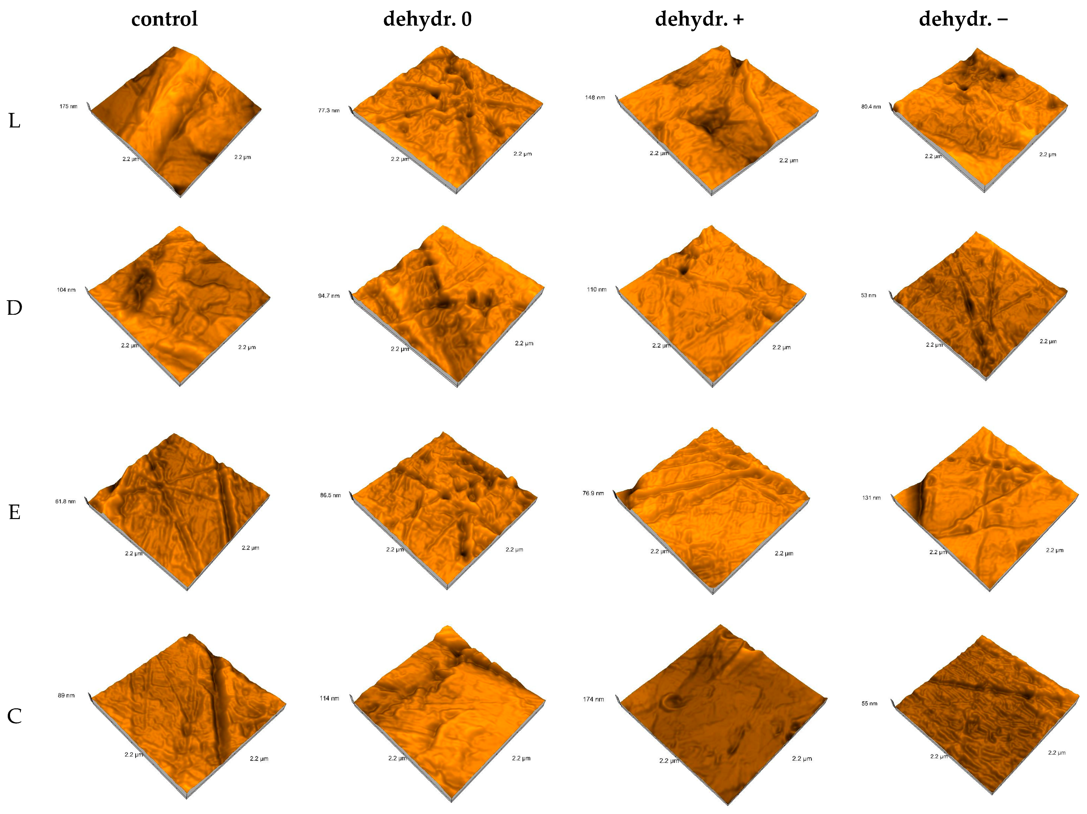 Biomimetics 09 00379 g008