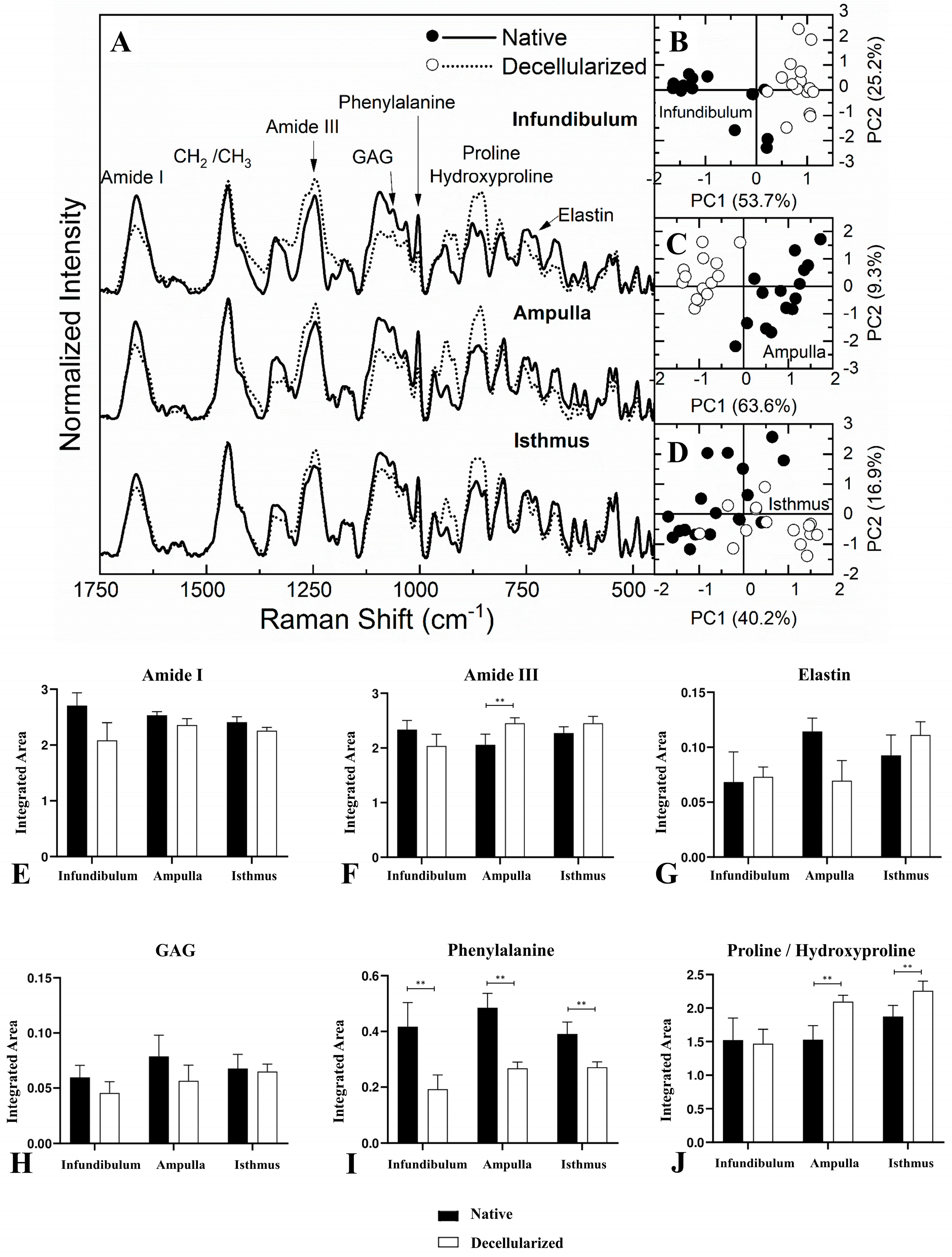 Biomimetics 09 00382 g007