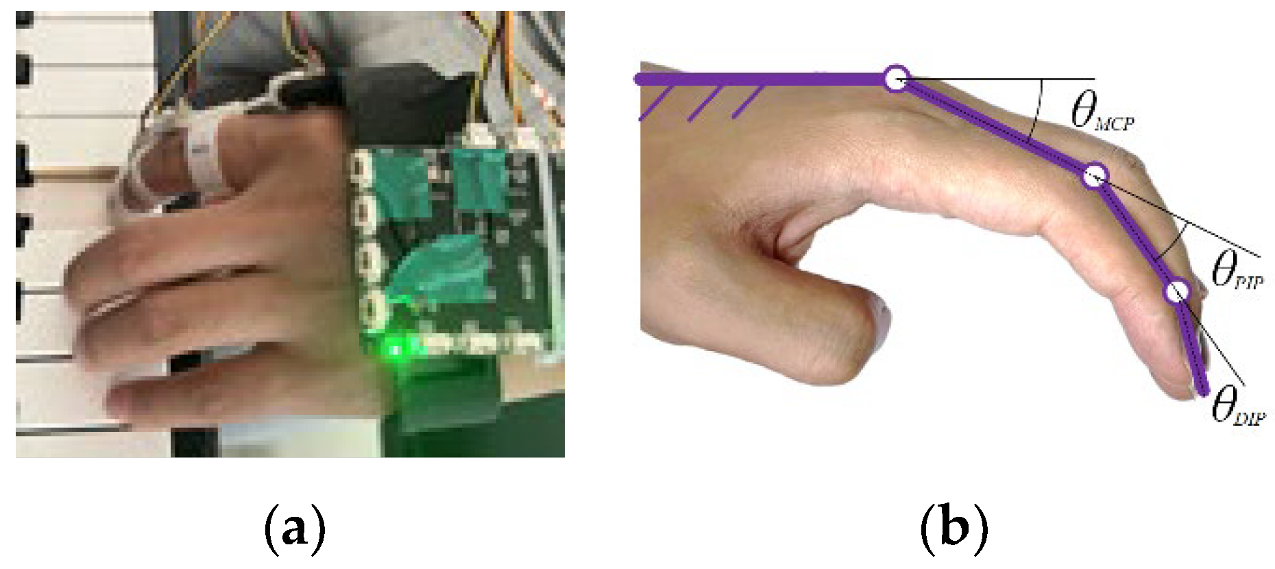 Biomimetics 09 00385 g002