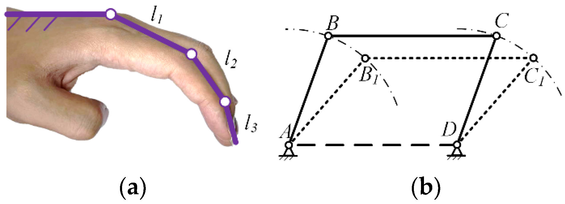 Biomimetics 09 00385 g007