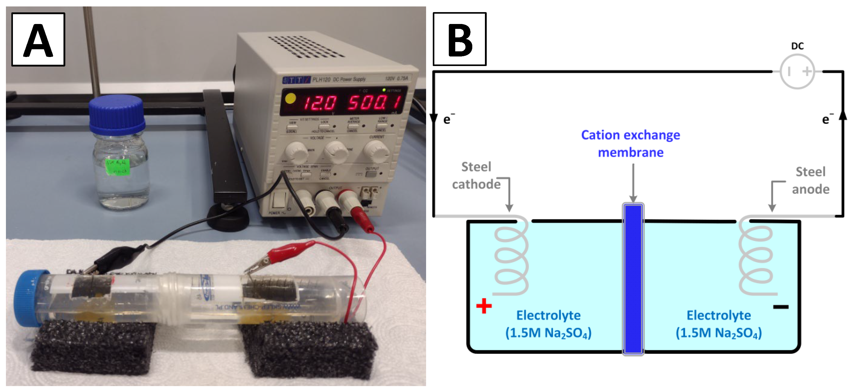 Biomimetics 09 00387 g001
