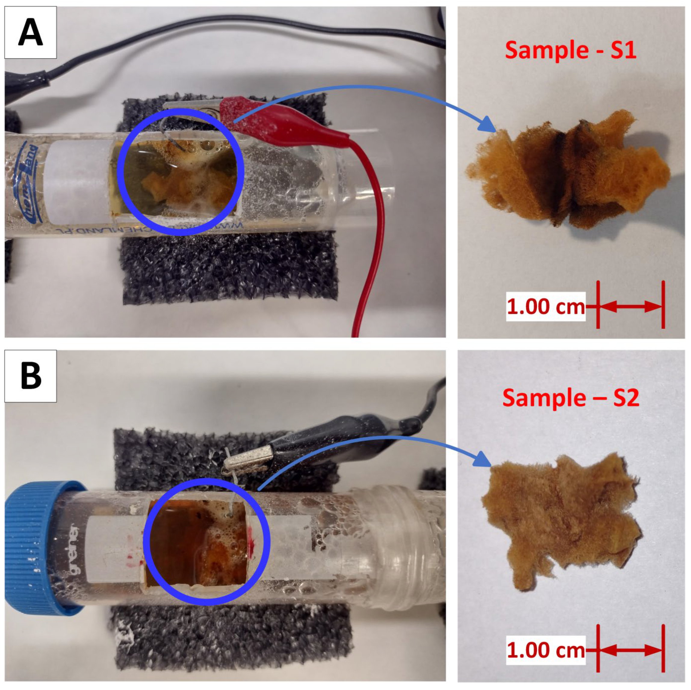 Biomimetics 09 00387 g004