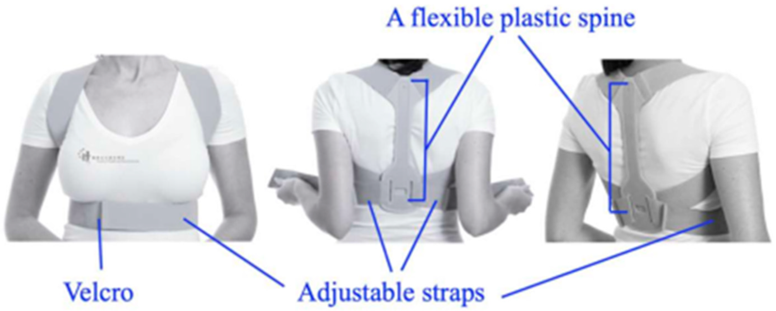 Biomimetics 09 00390 g003 Biomimetics 09 00390 g003