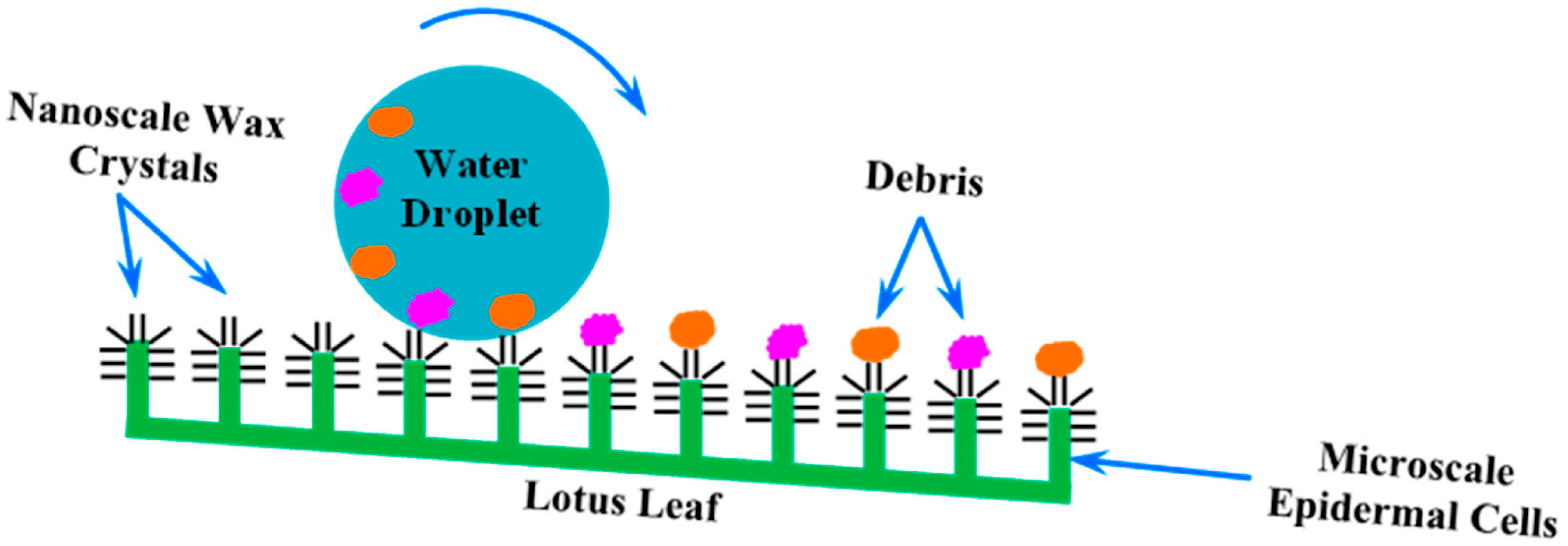 Biomimetics 09 00390 g006 Biomimetics 09 00390 g006