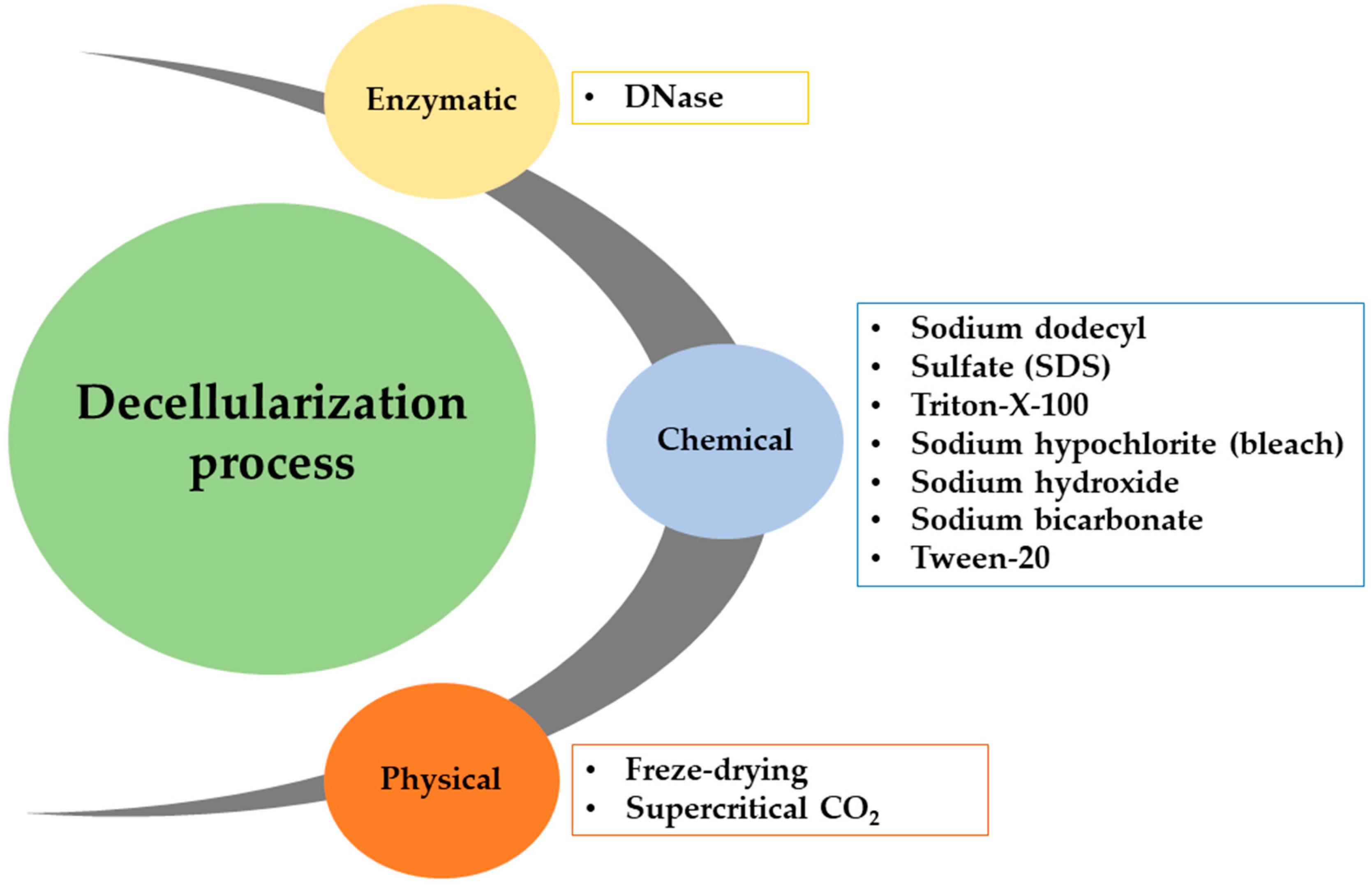 Biomimetics 09 00390 g010 Biomimetics 09 00390 g010