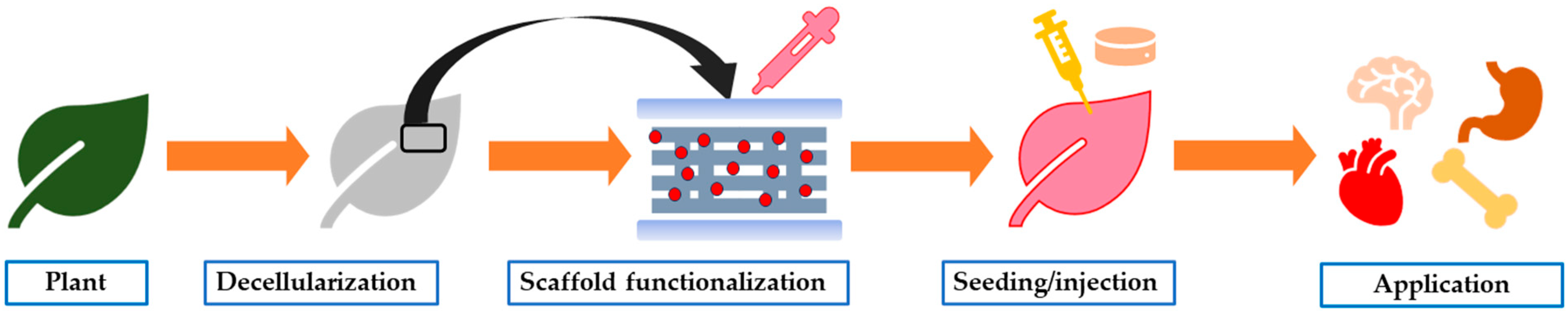 Biomimetics 09 00390 g011 Biomimetics 09 00390 g011