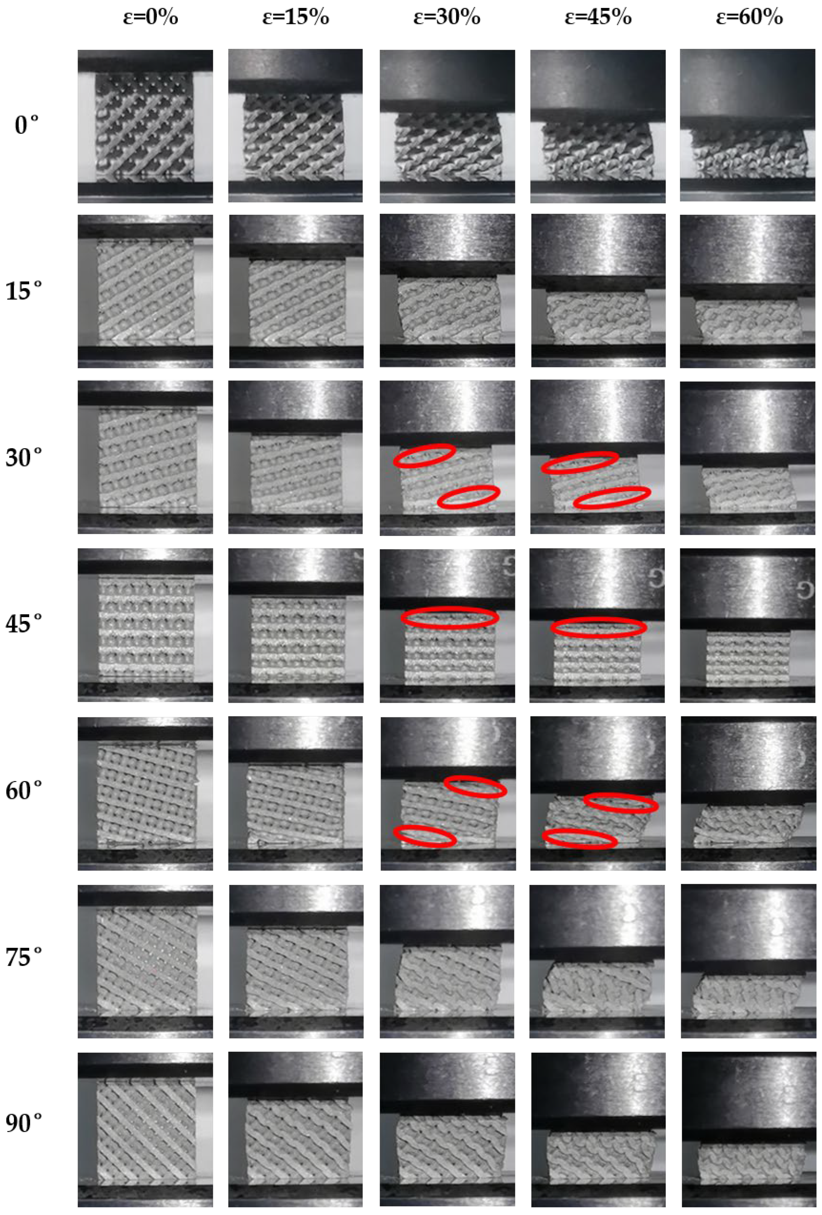Biomimetics 09 00392 g011