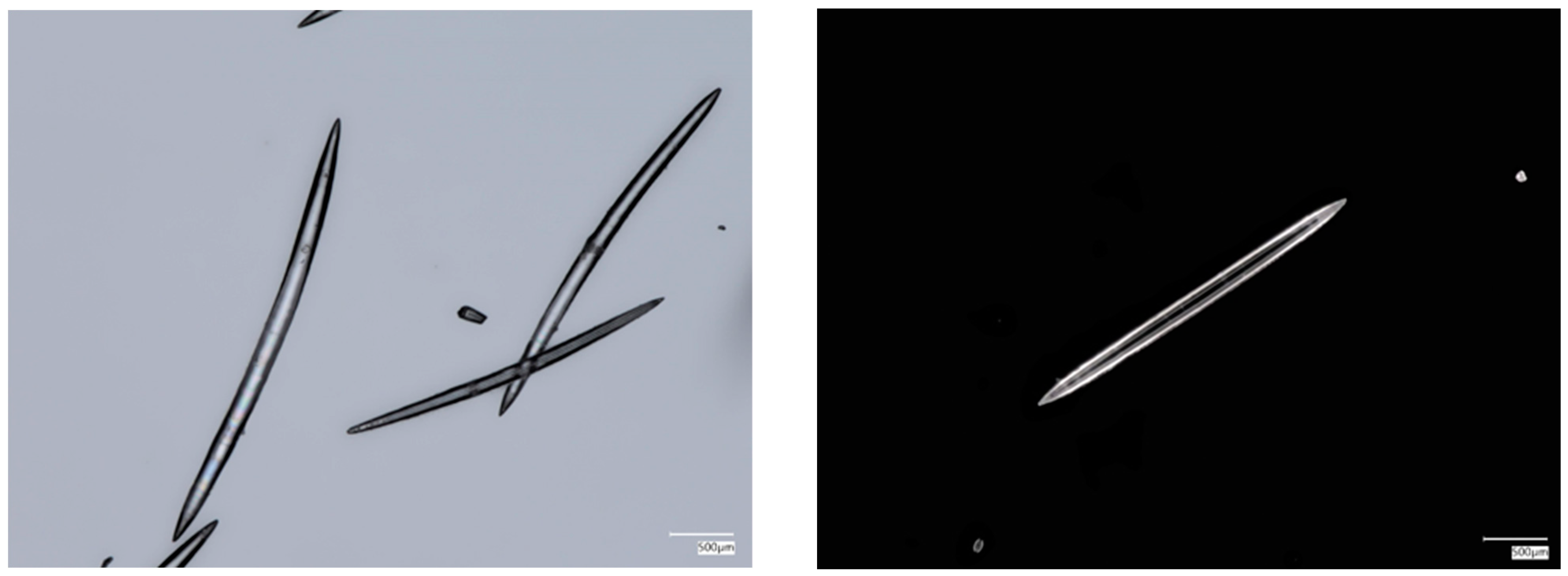 Biomimetics 09 00393 g001 Biomimetics 09 00393 g001