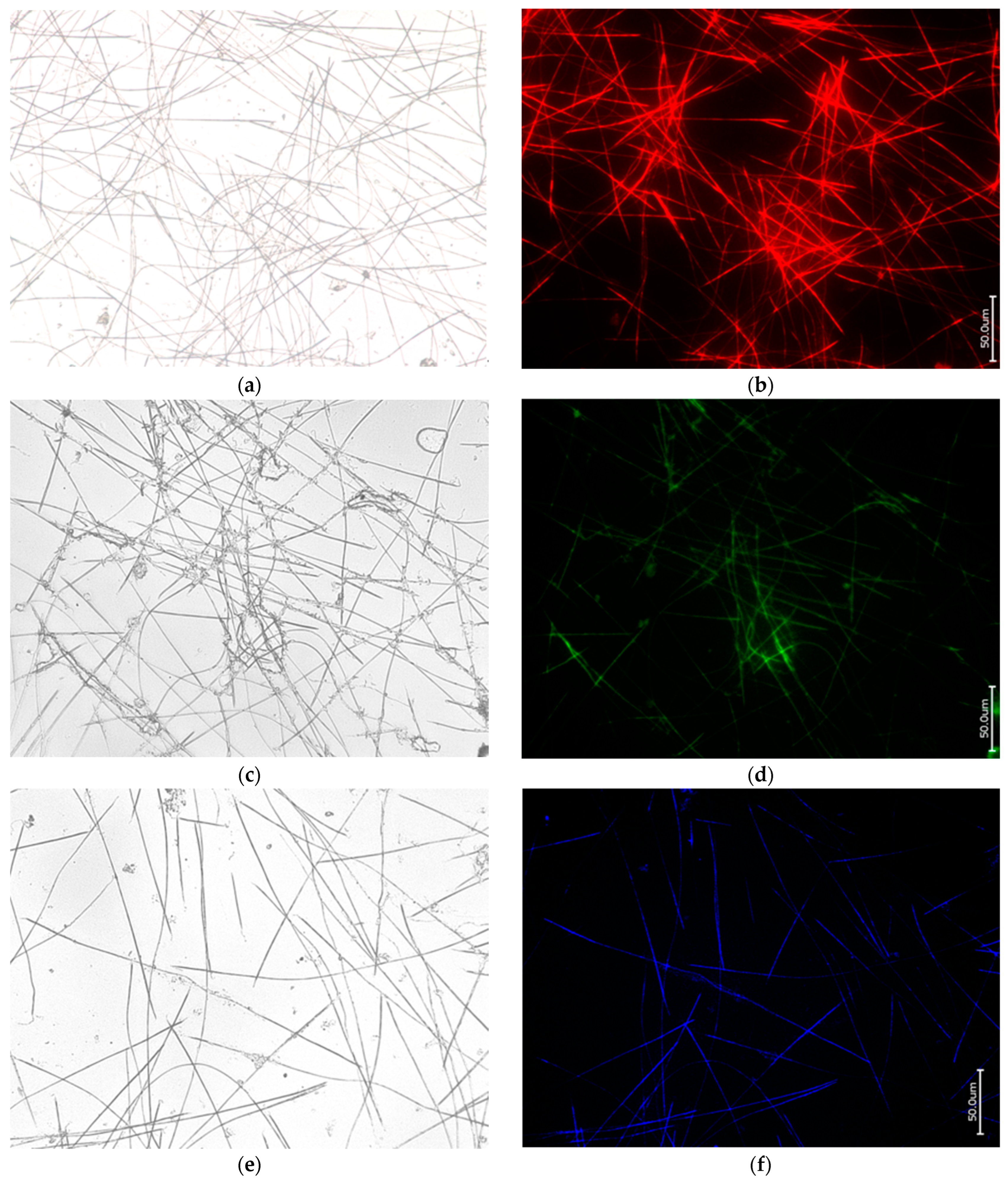 Biomimetics 09 00393 g002 Biomimetics 09 00393 g002