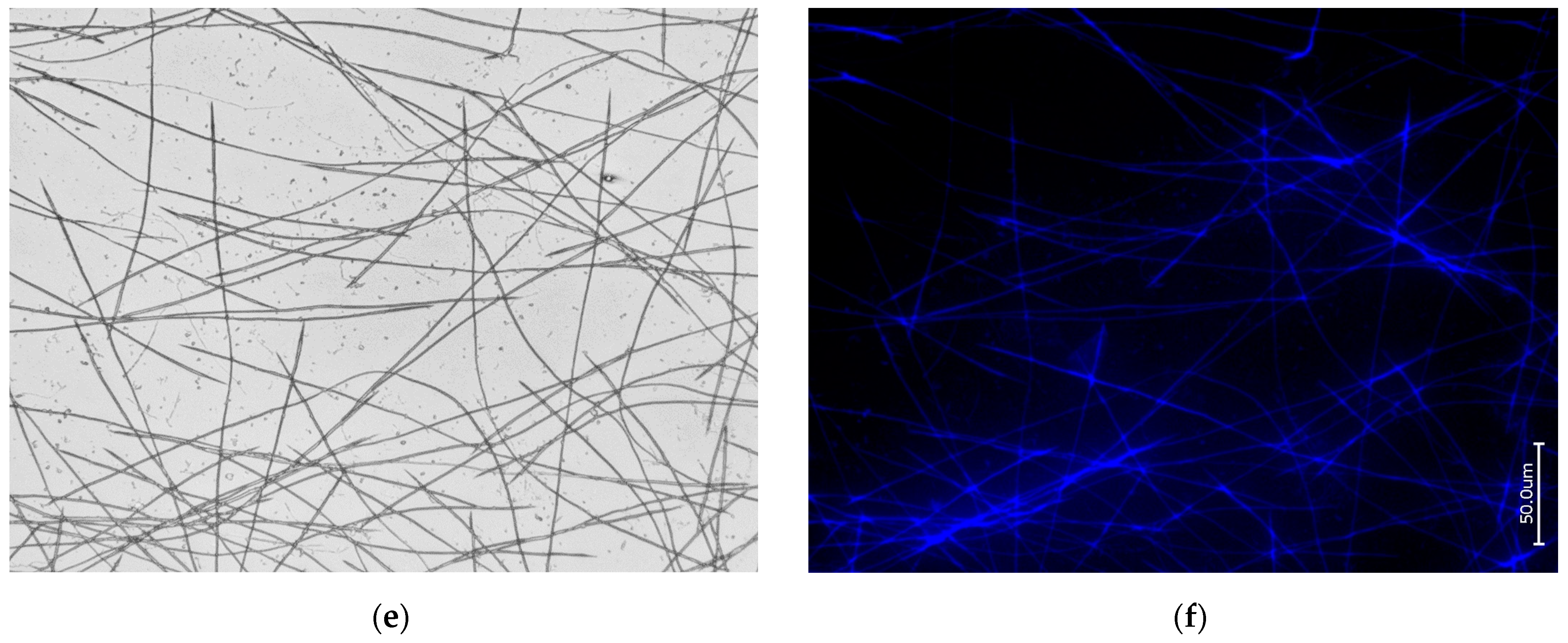 Biomimetics 09 00393 g005b Biomimetics 09 00393 g005b