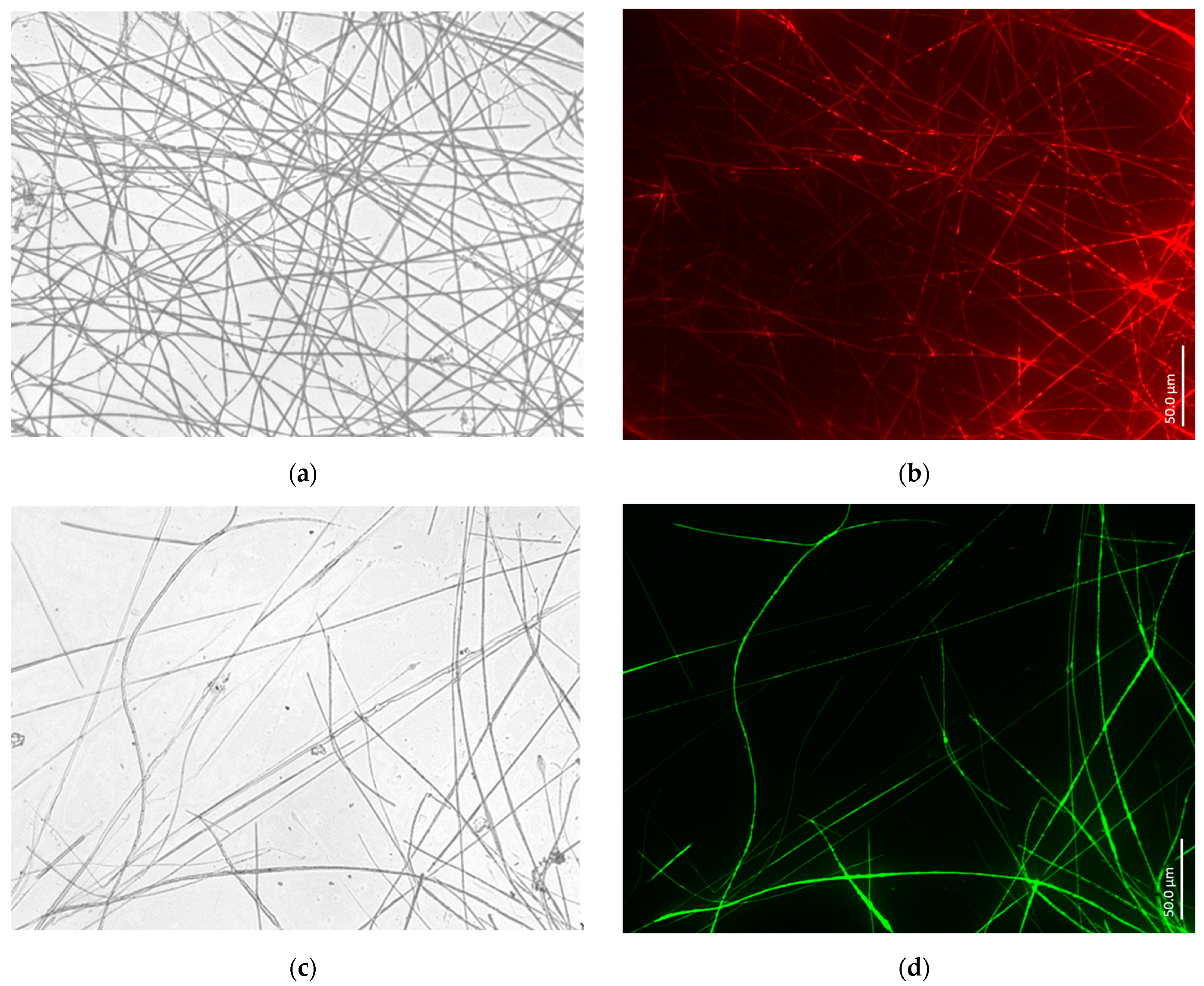 Biomimetics 09 00393 g008a Biomimetics 09 00393 g008a