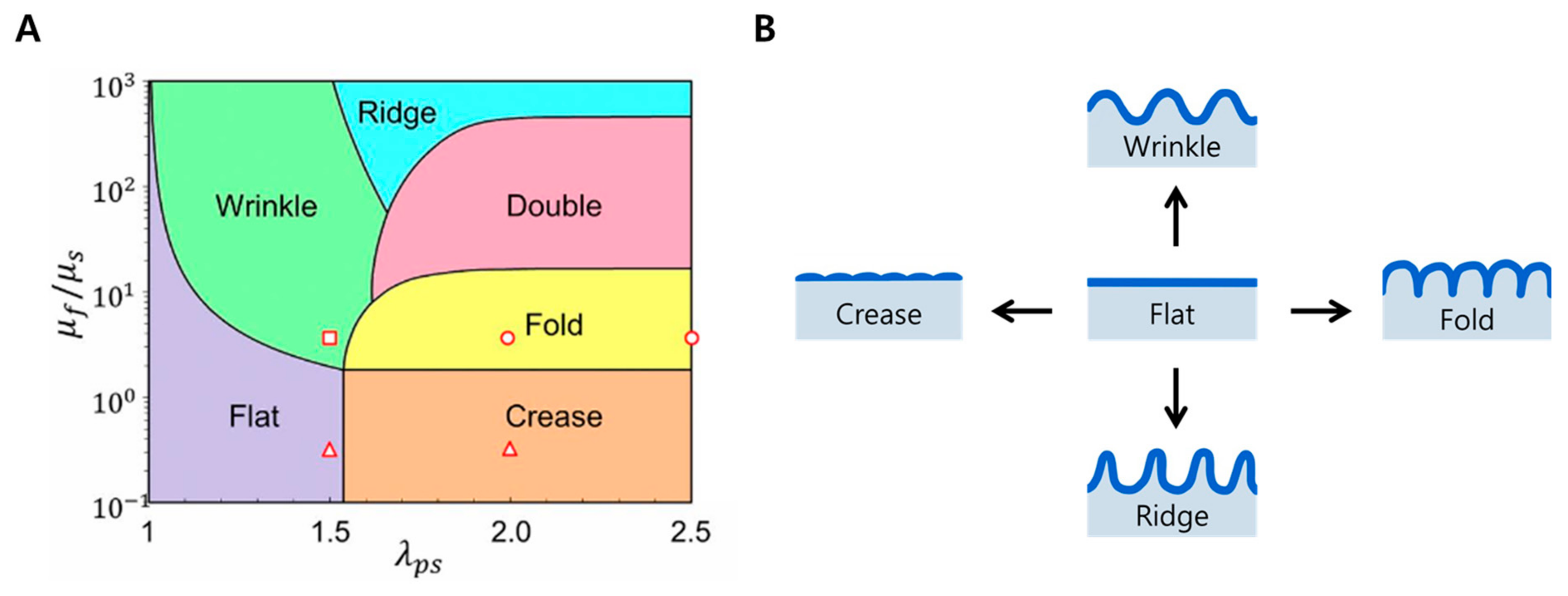 Biomimetics 09 00395 g001