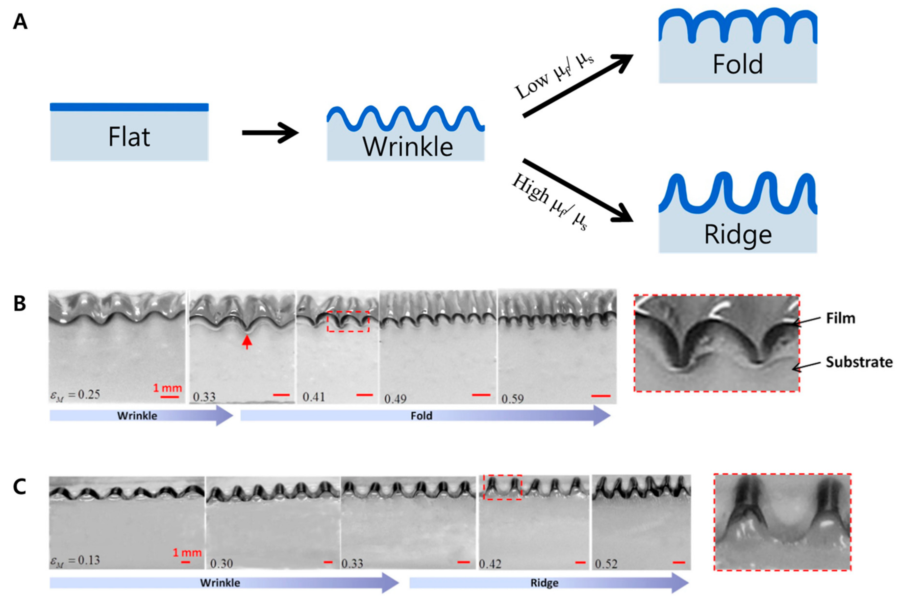 Biomimetics 09 00395 g004