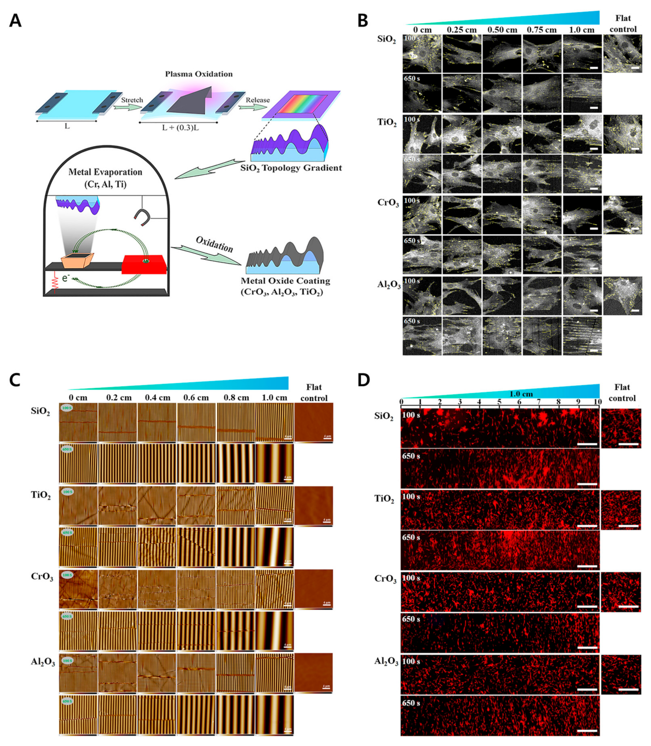 Biomimetics 09 00395 g008