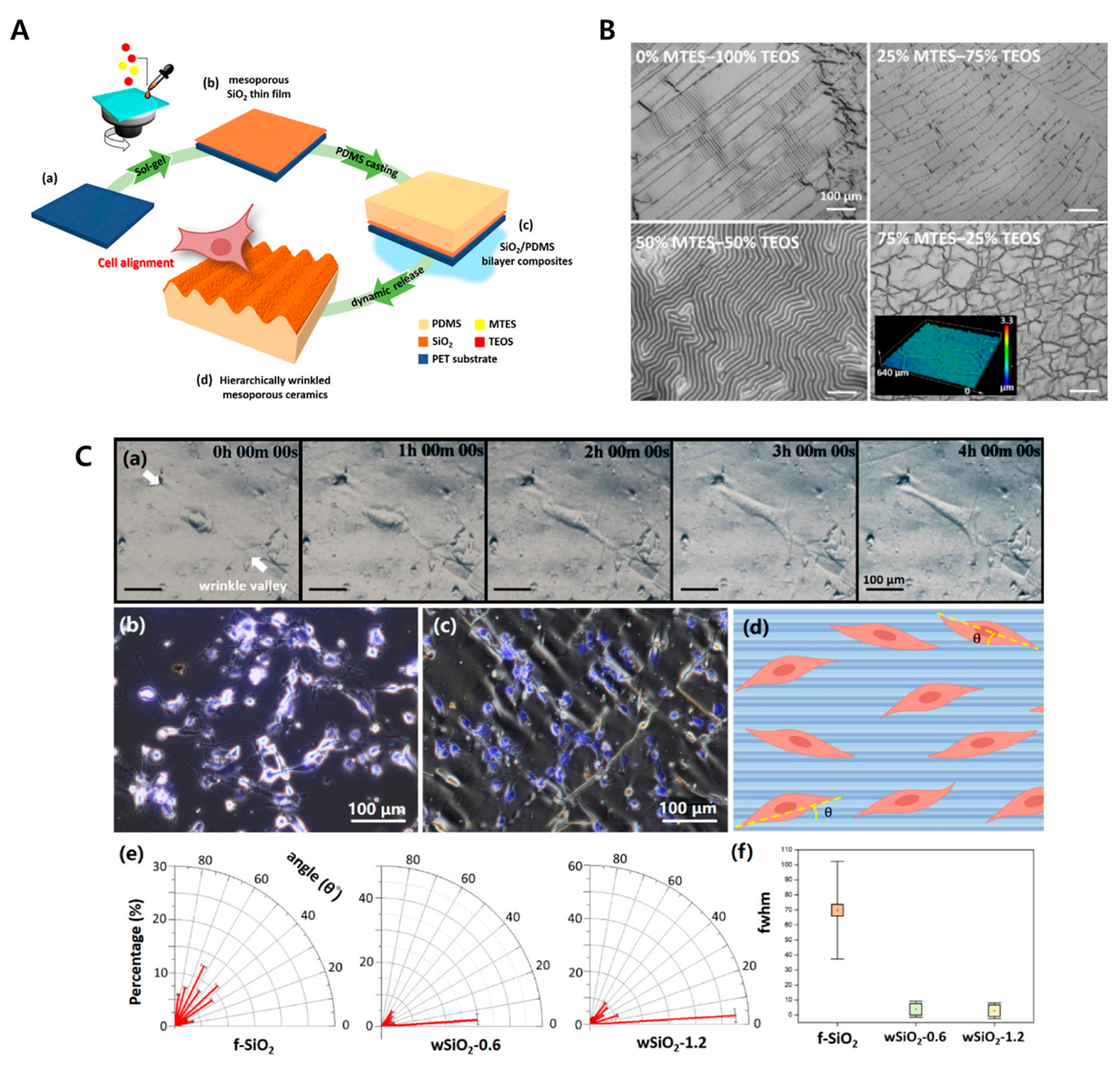 Biomimetics 09 00395 g009