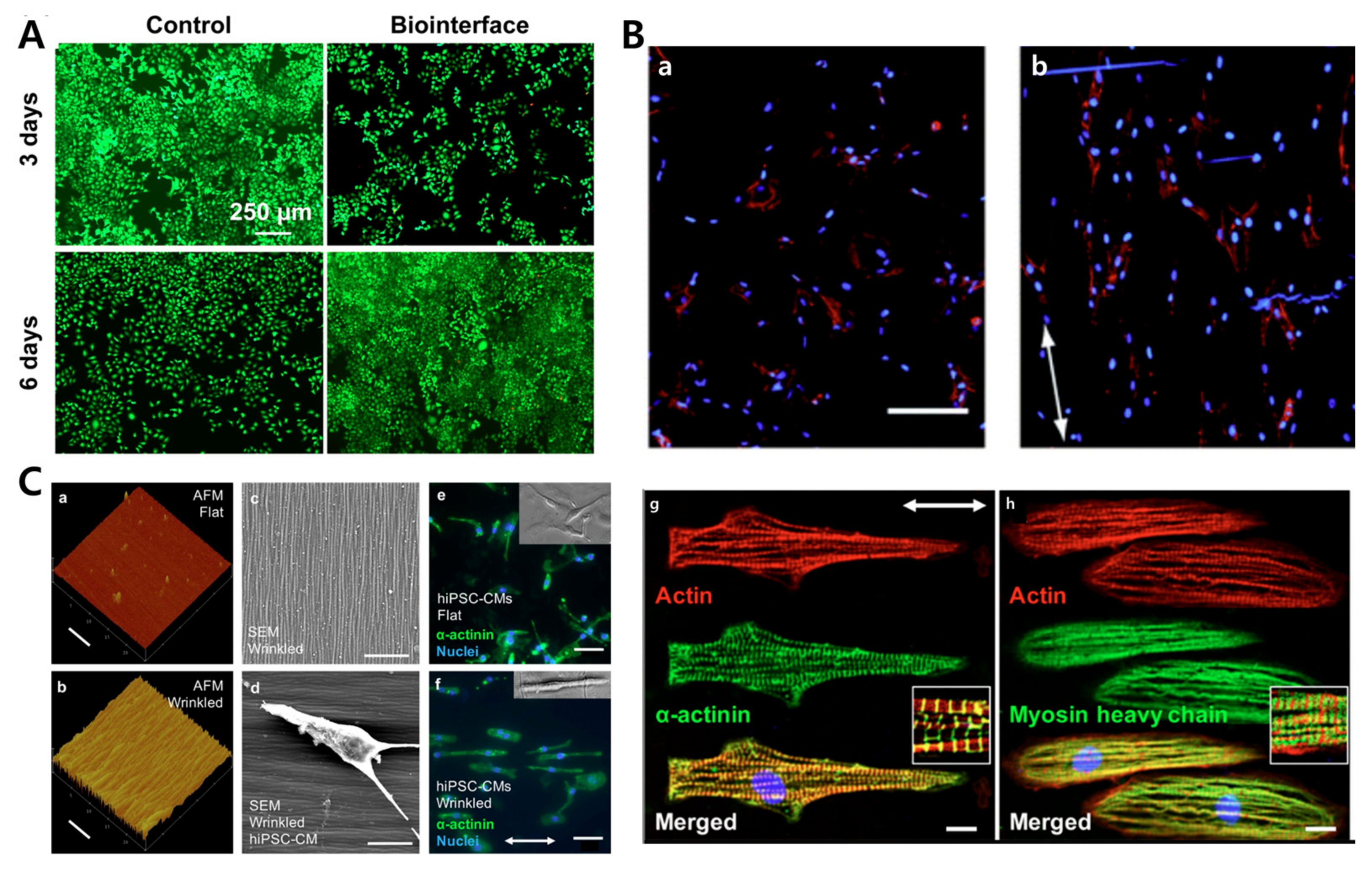 Biomimetics 09 00395 g010