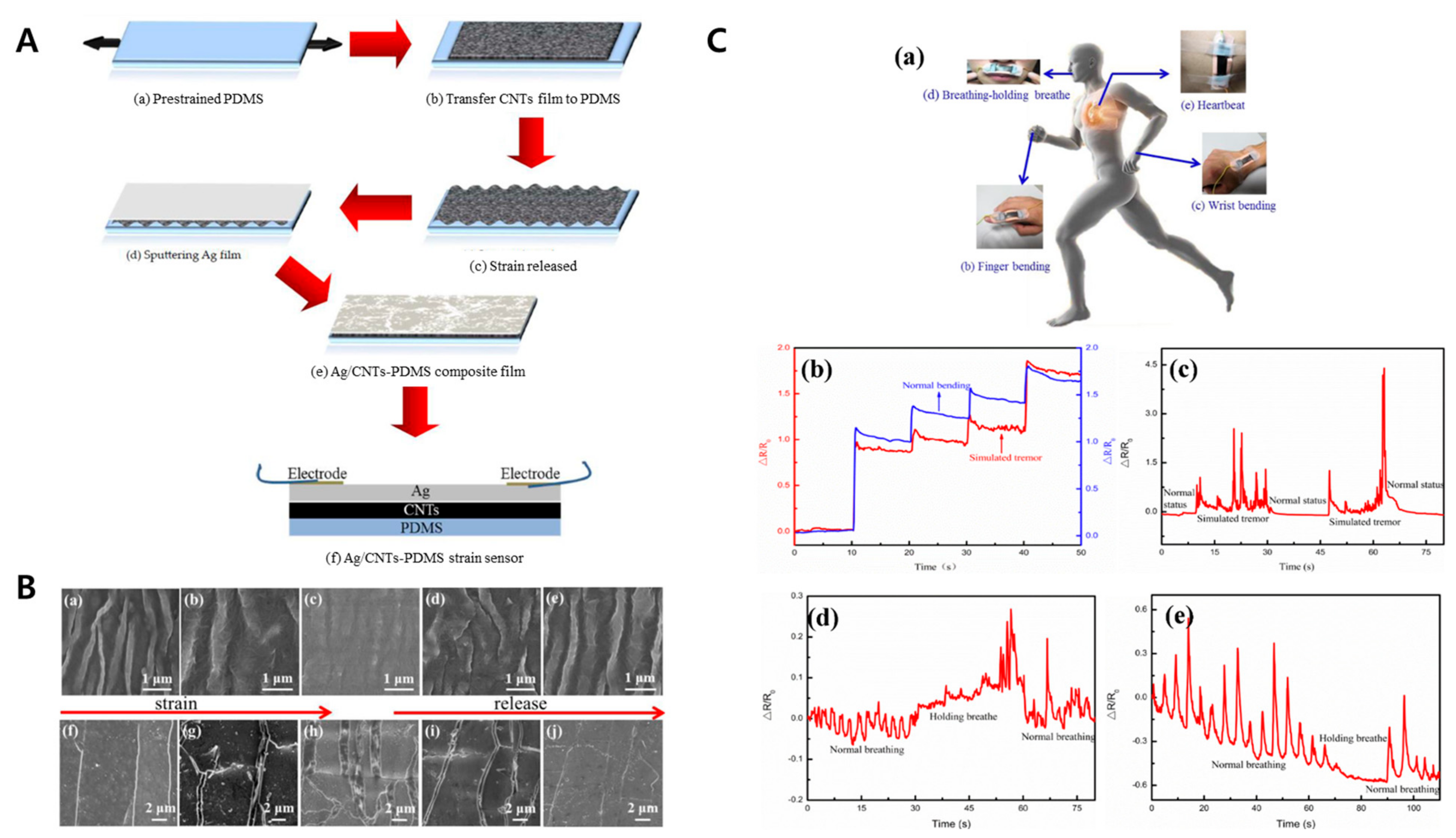 Biomimetics 09 00395 g011