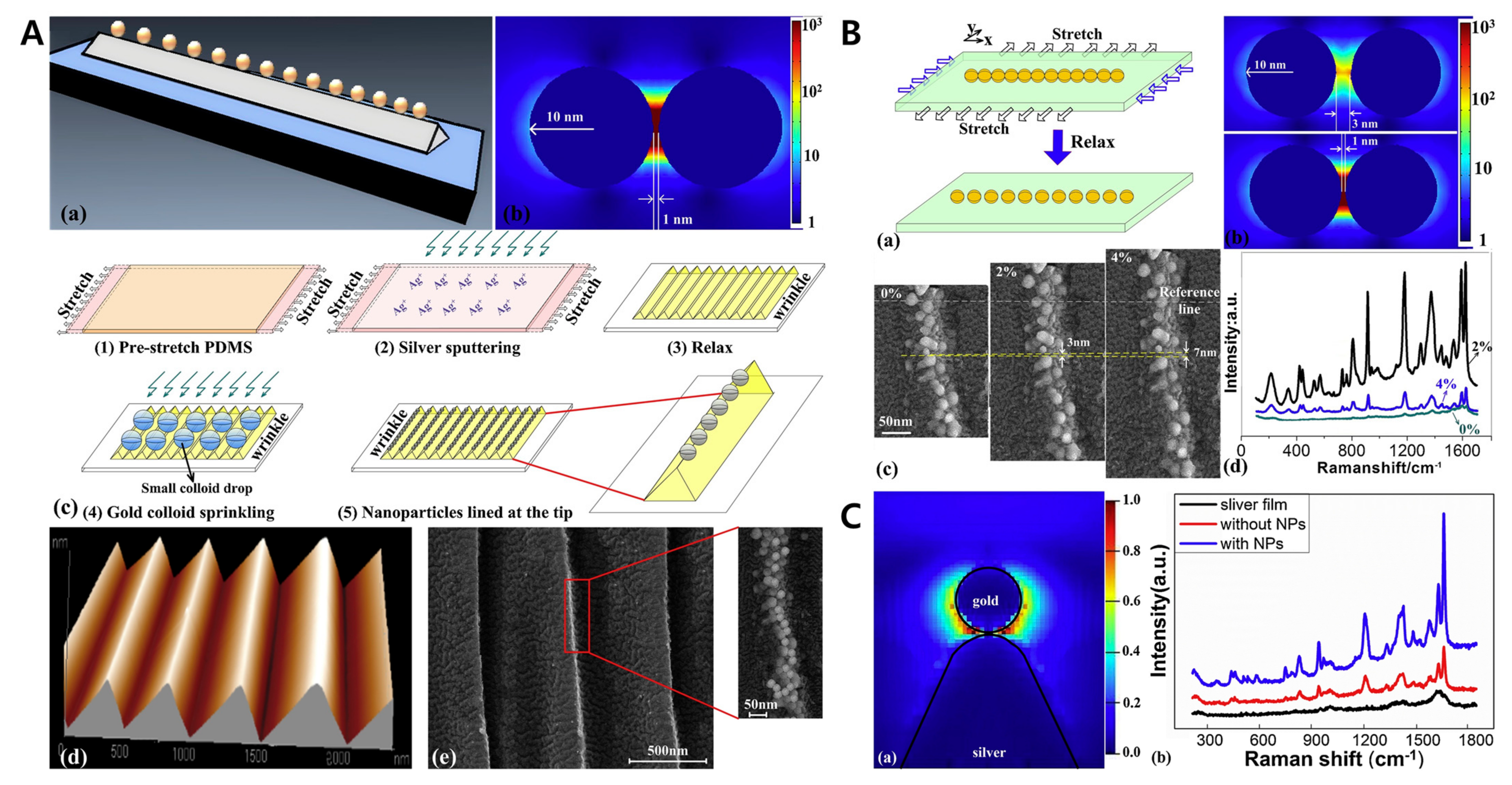 Biomimetics 09 00395 g012