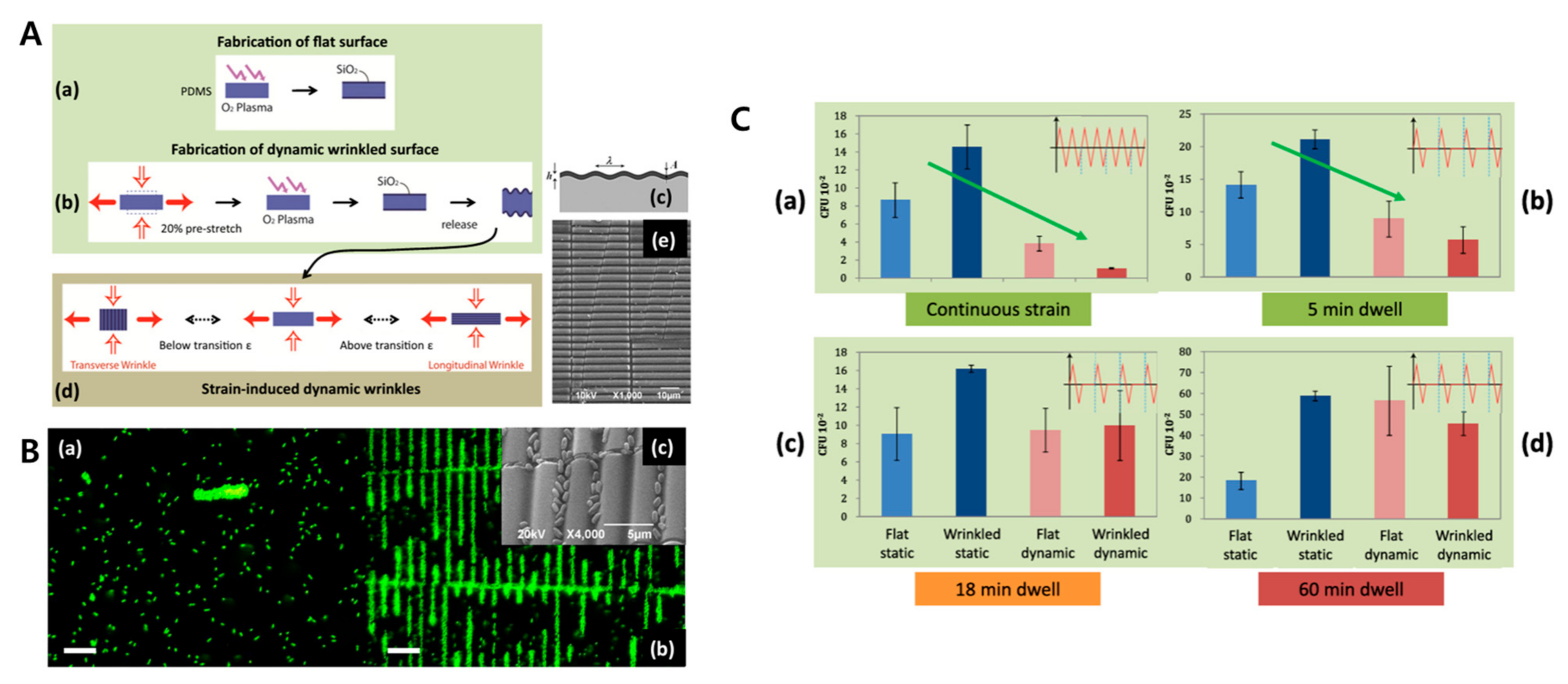 Biomimetics 09 00395 g014