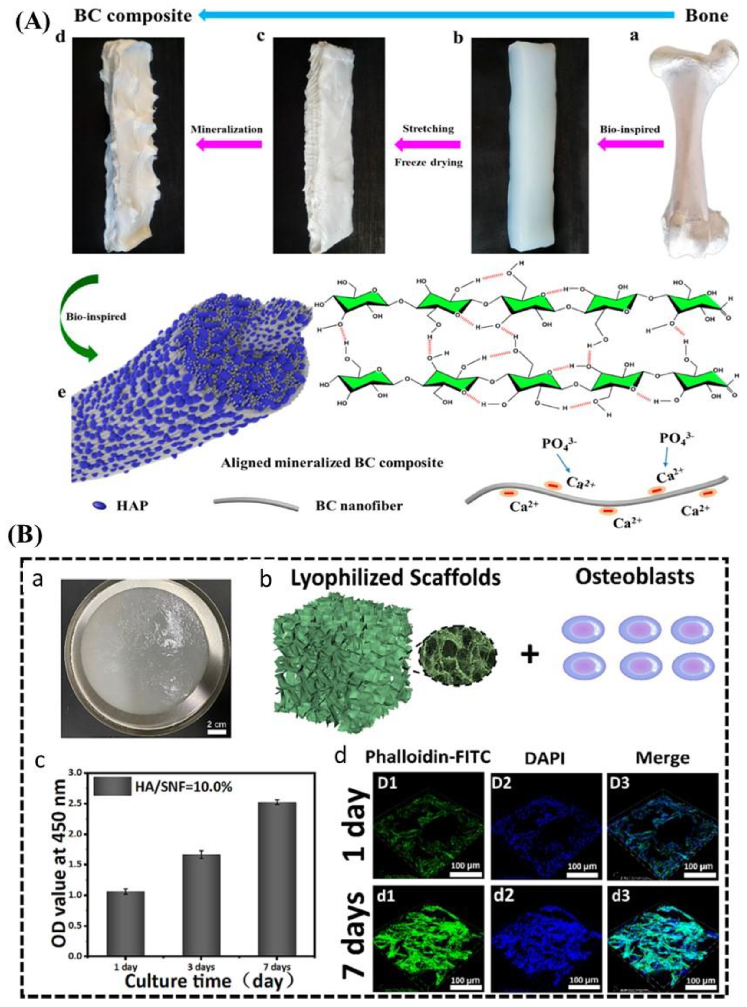 Biomimetics 09 00397 g001