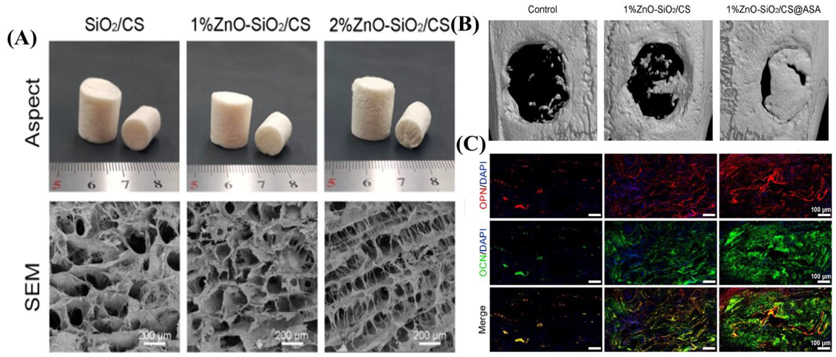 Biomimetics 09 00397 g002