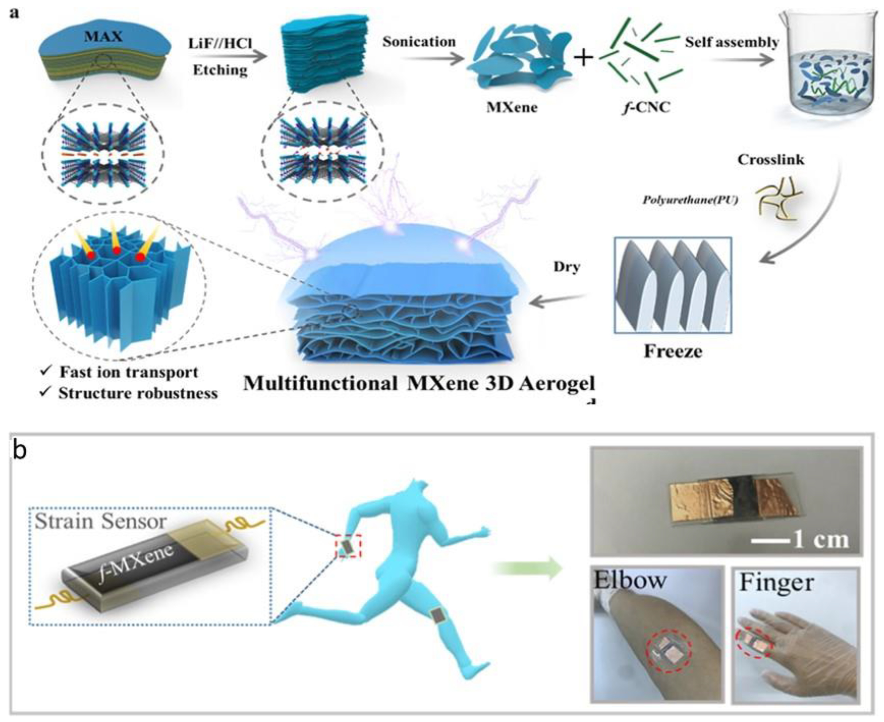 Biomimetics 09 00397 g006