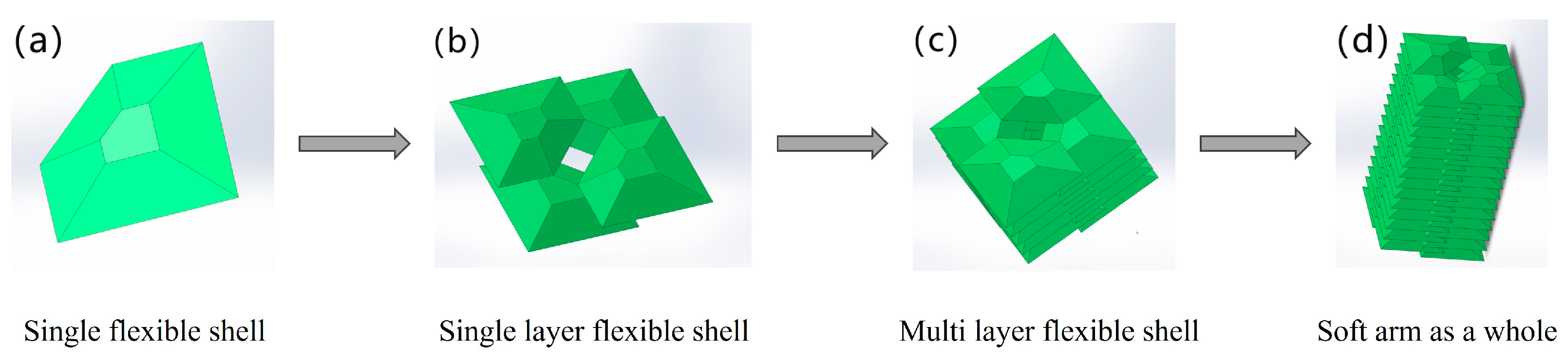 Biomimetics 09 00398 g002