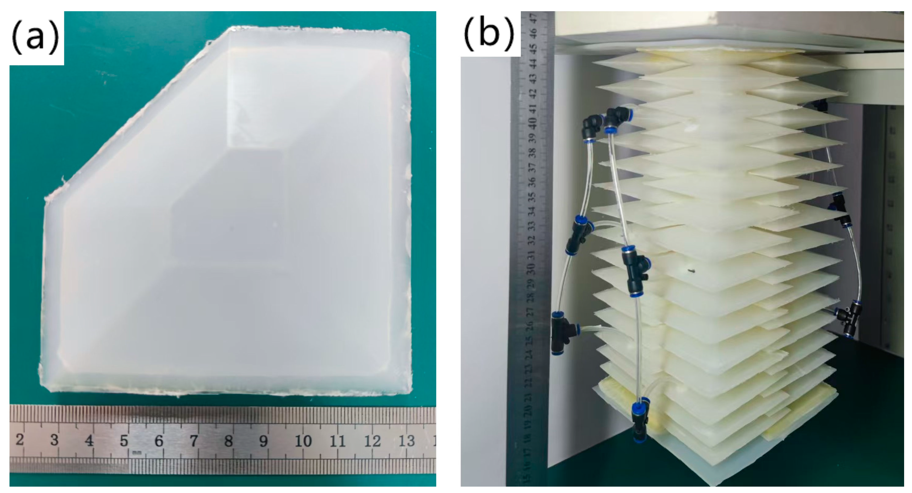 Biomimetics 09 00398 g006