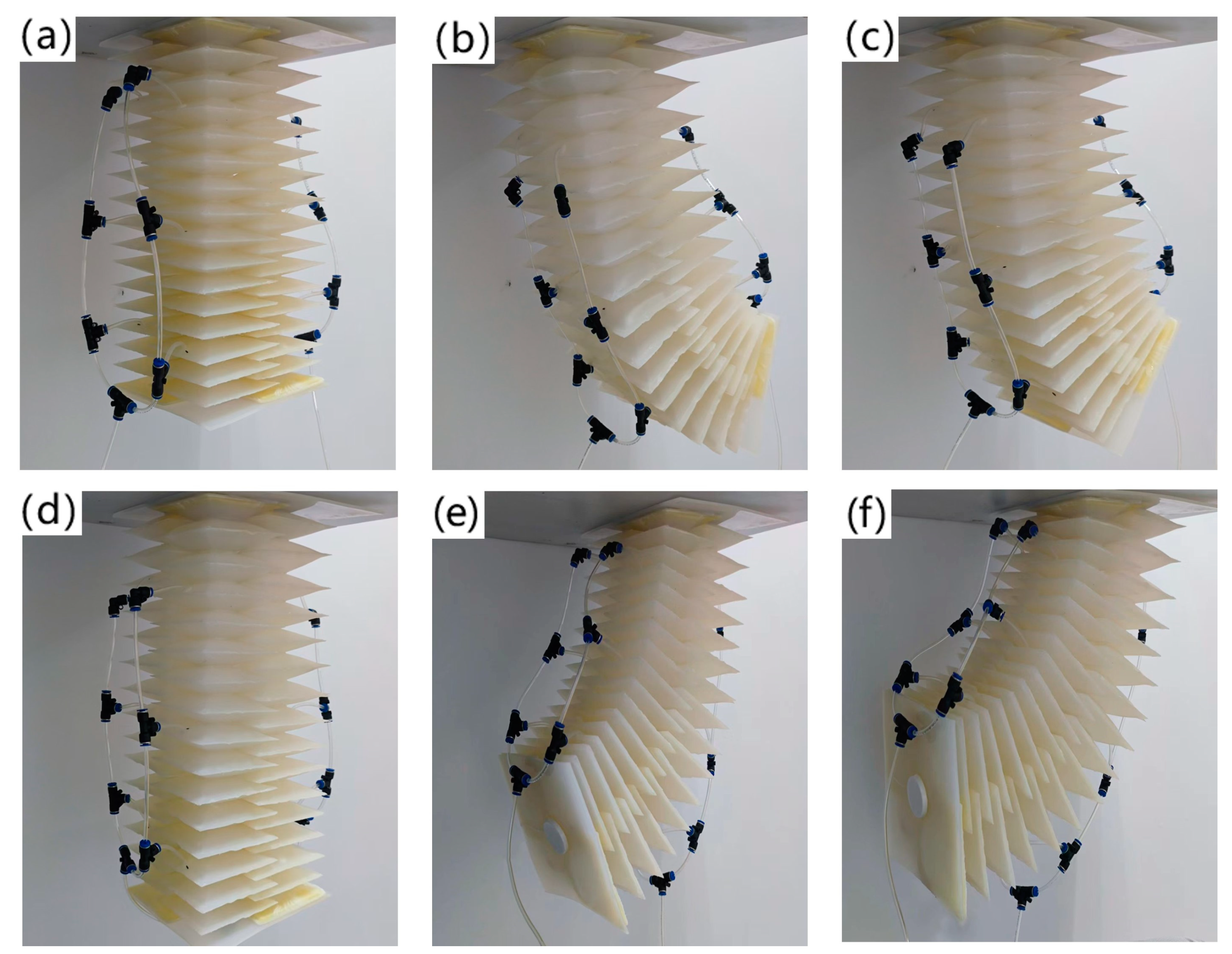 Biomimetics 09 00398 g008