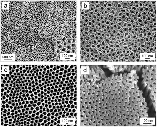 Various Antibacterial Strategies Utilizing Titanium Dioxide