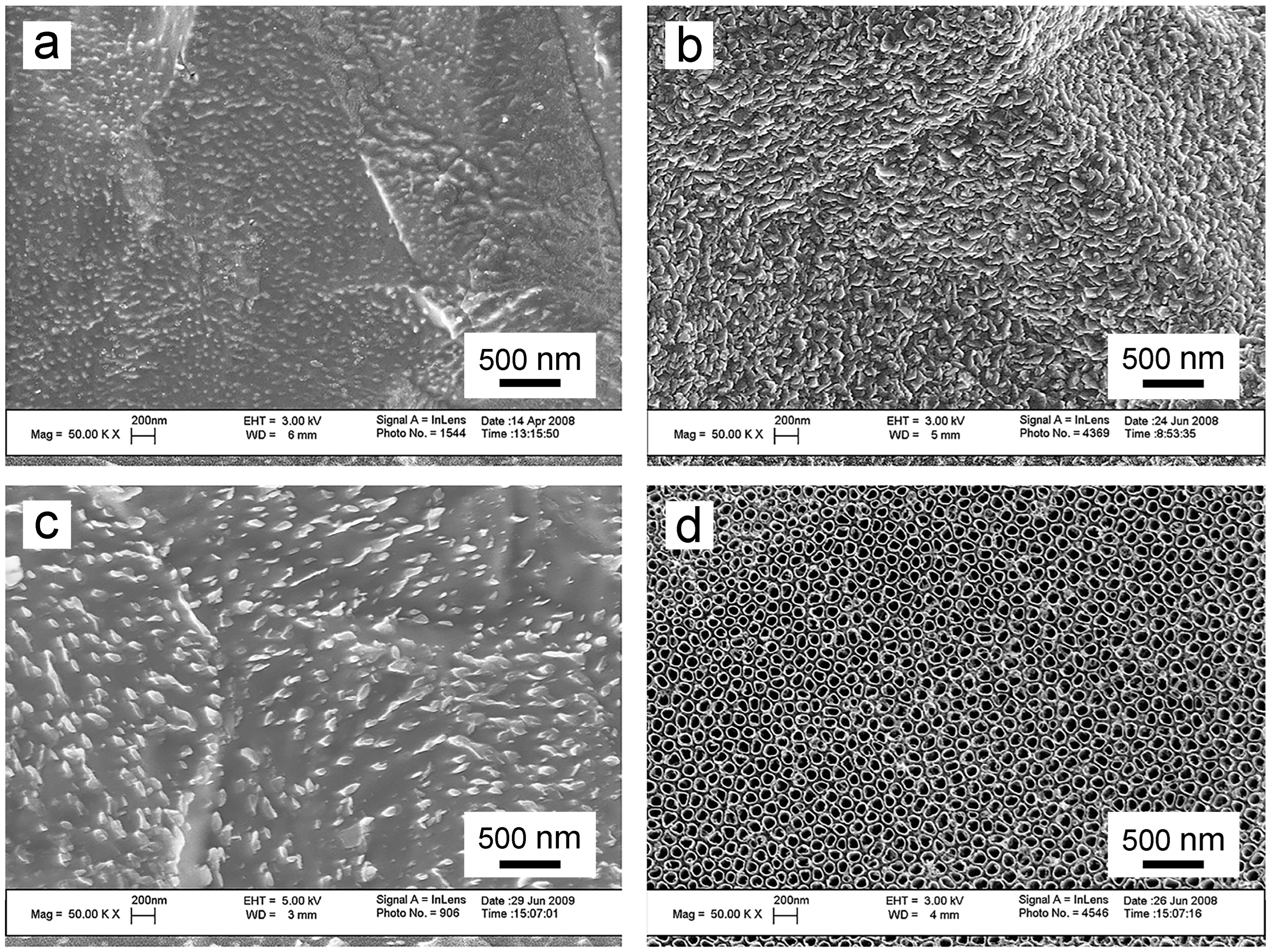 Biomimetics 09 00408 g006