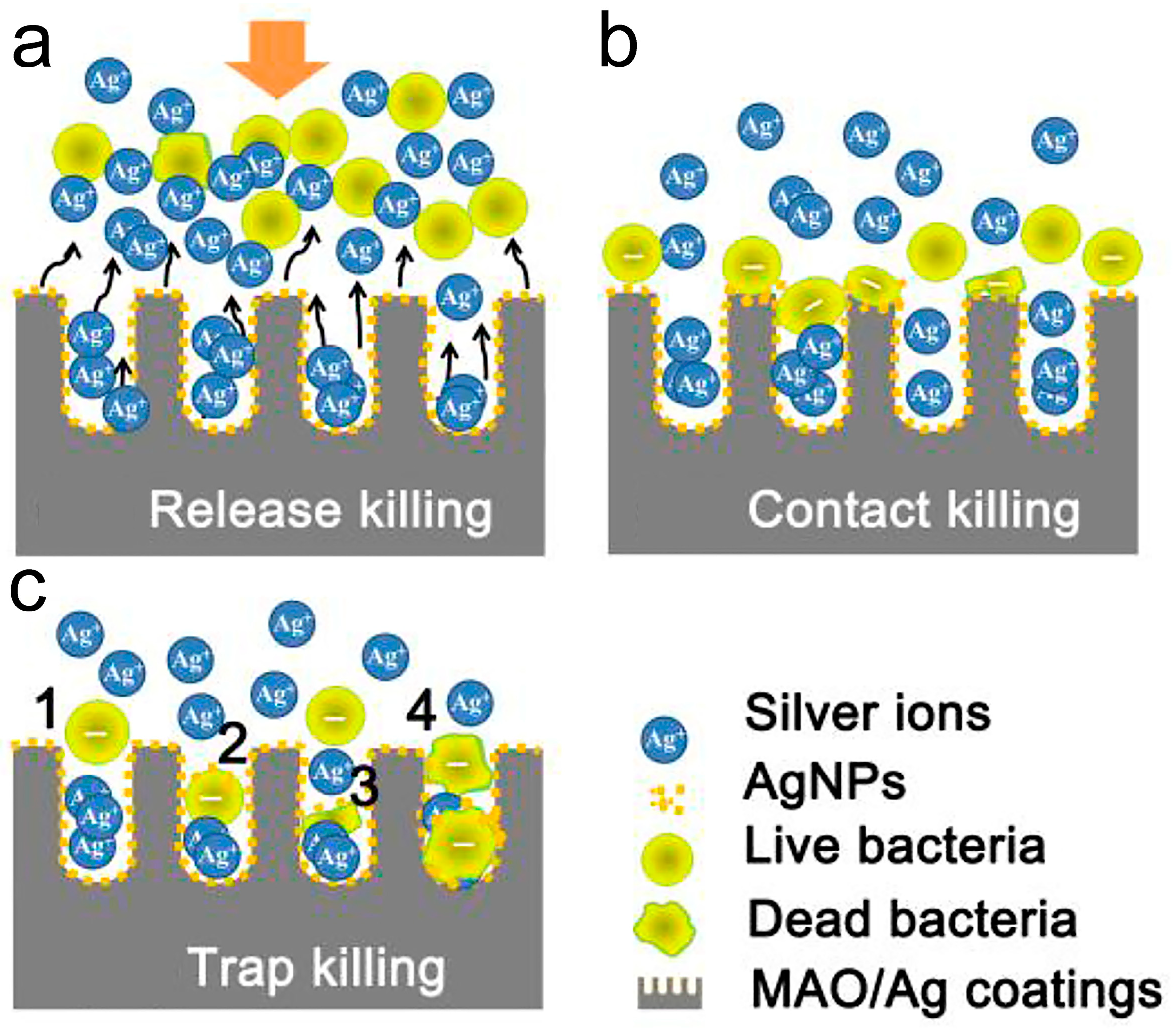 Biomimetics 09 00408 g009