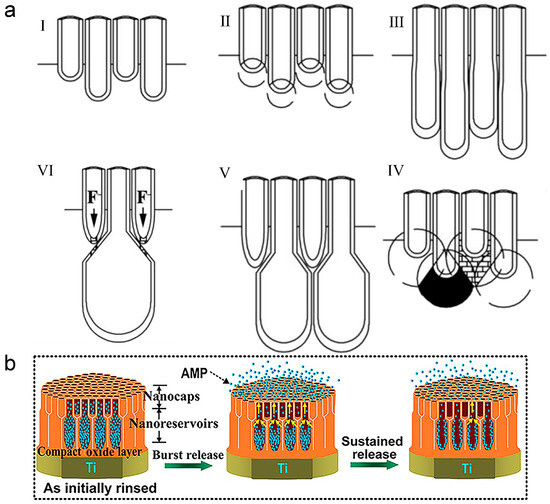 Various Antibacterial Strategies Utilizing Titanium Dioxide