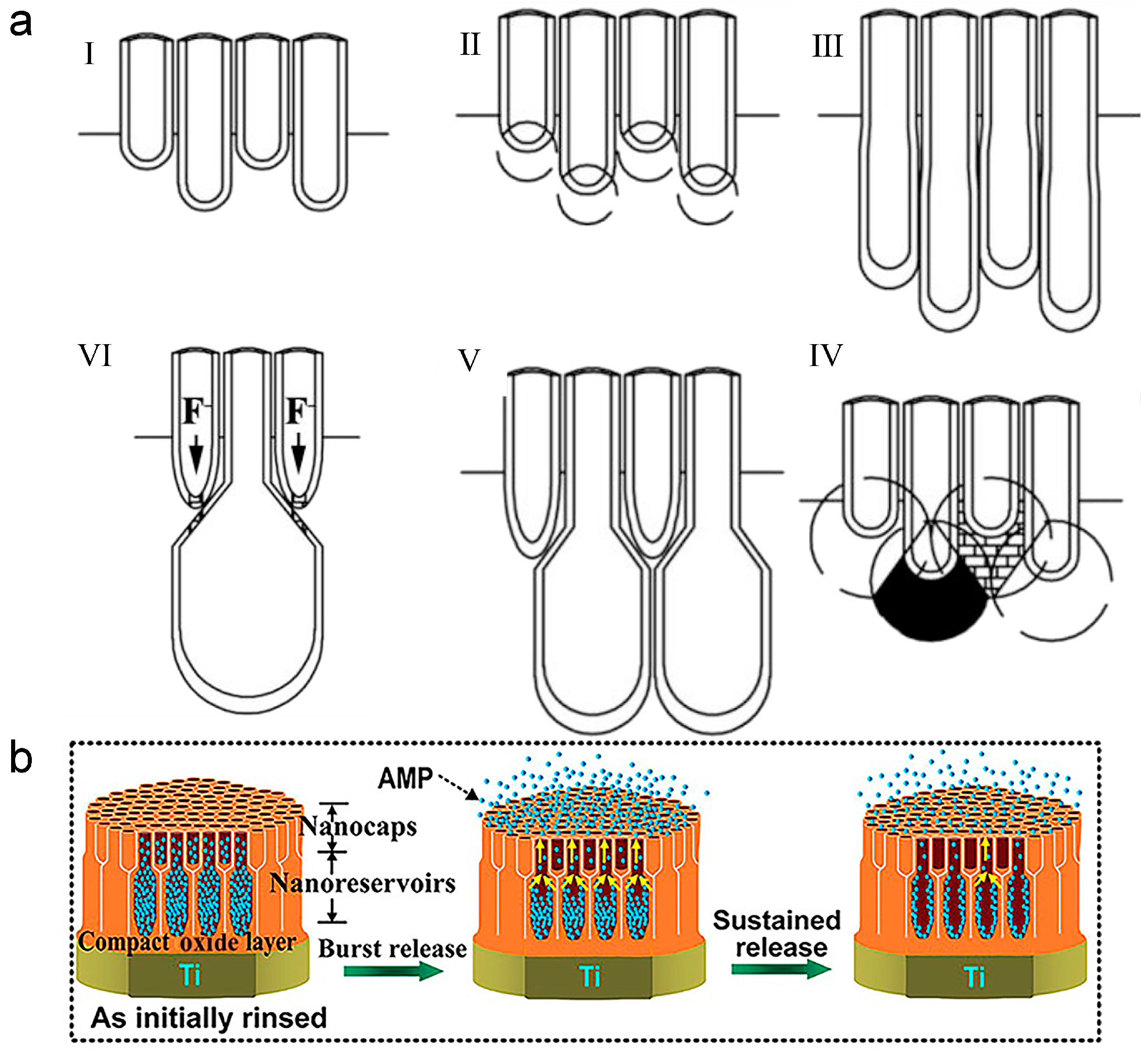 Biomimetics 09 00408 g012