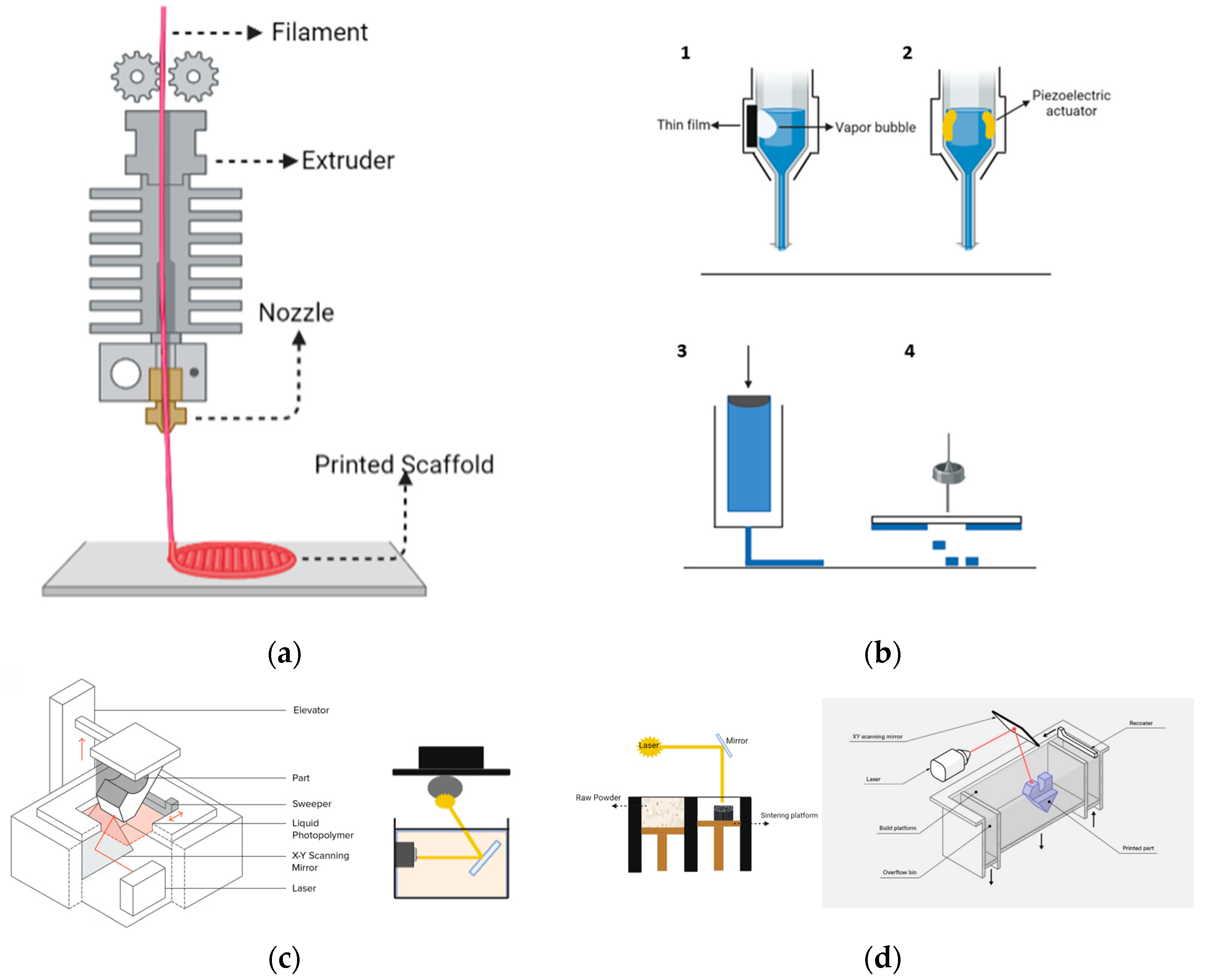 Biomimetics 09 00409 g006 Biomimetics 09 00409 g006