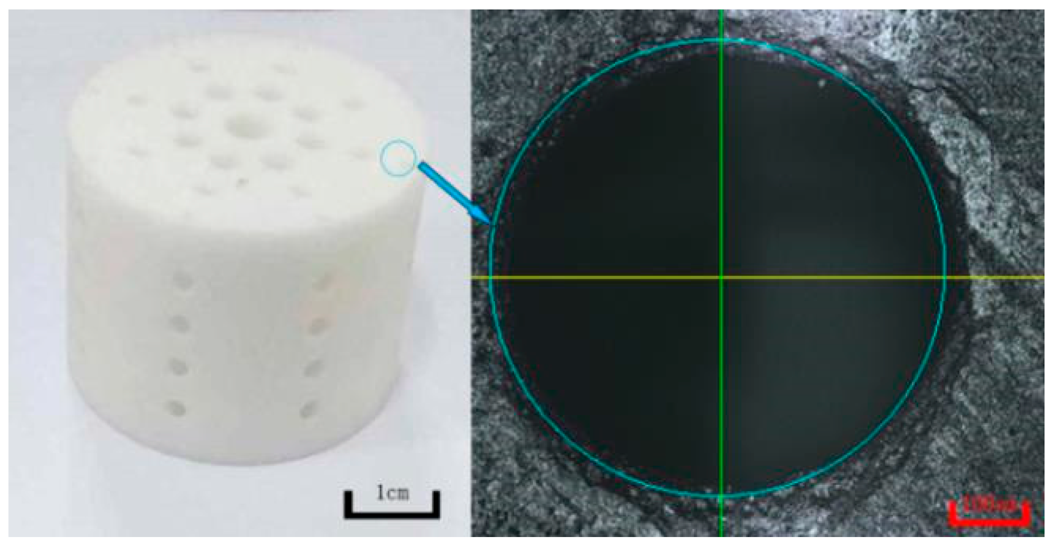 Biomimetics 09 00409 g010 Biomimetics 09 00409 g010