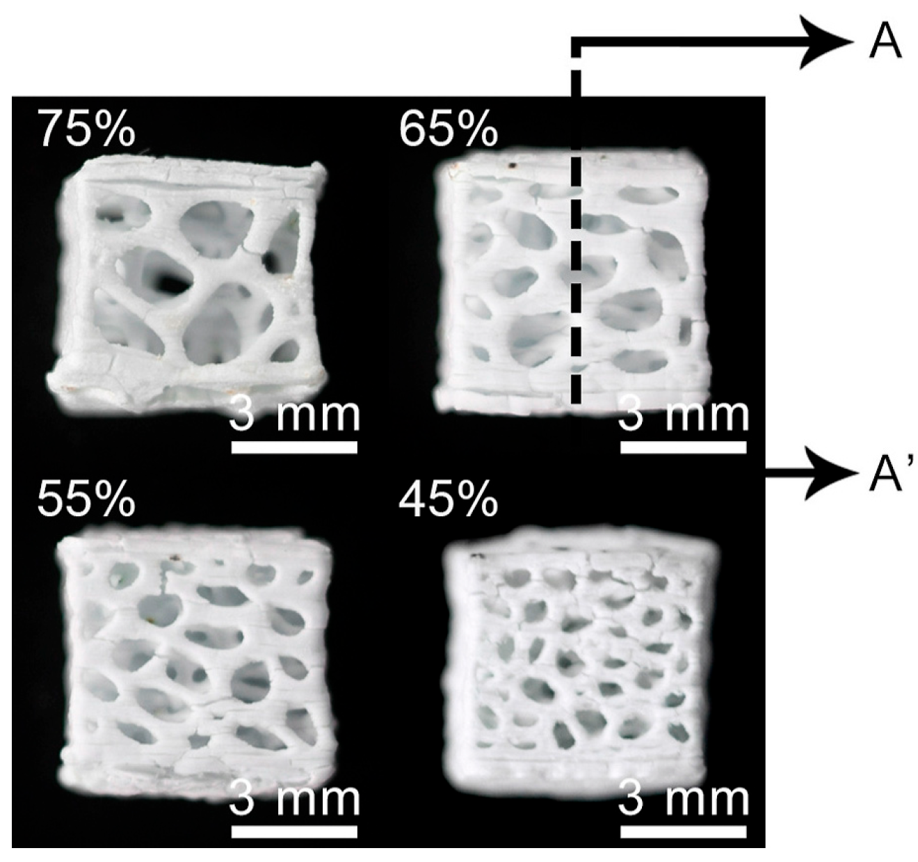Biomimetics 09 00409 g014 Biomimetics 09 00409 g014