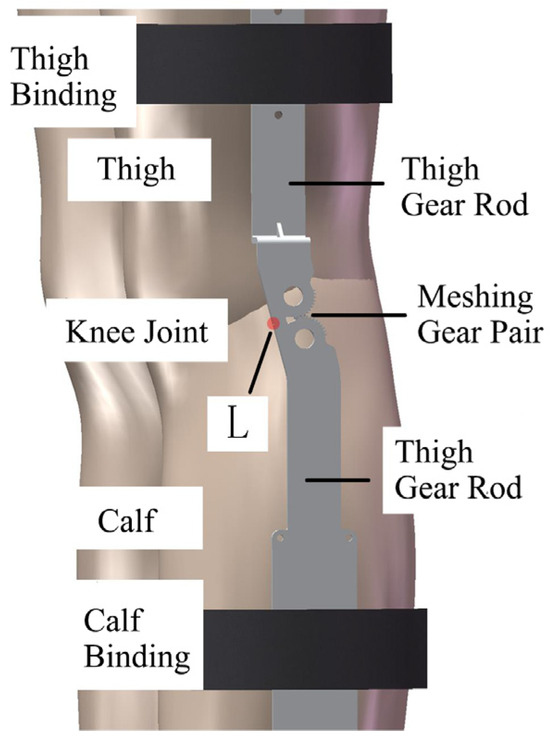 A Study on the Design of Knee Exoskeleton Rehabilitation