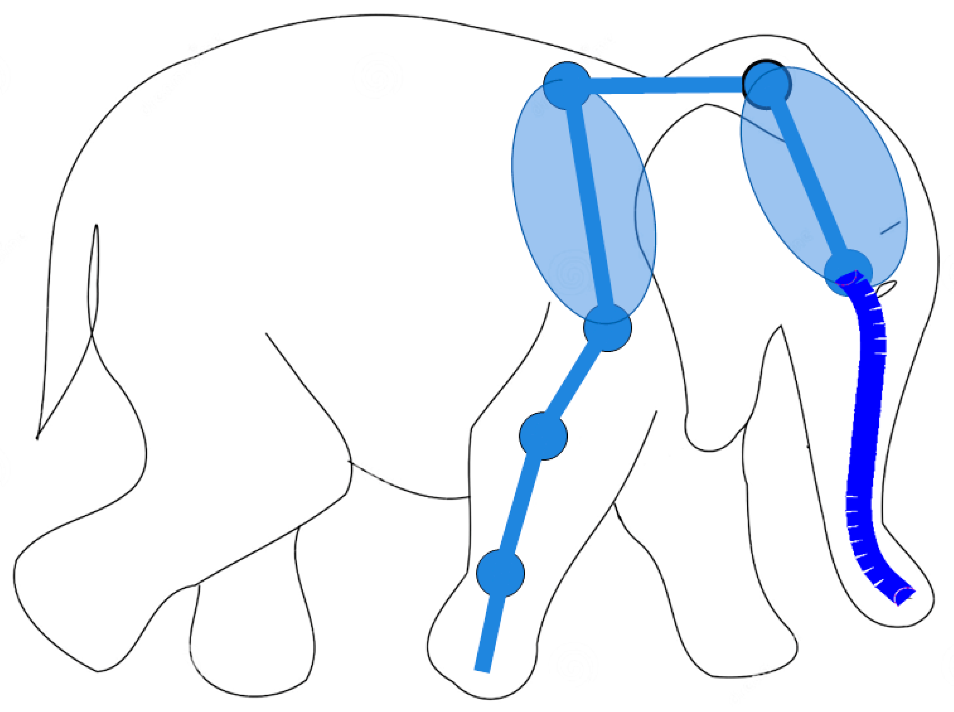 Biomimetics 09 00416 g001
