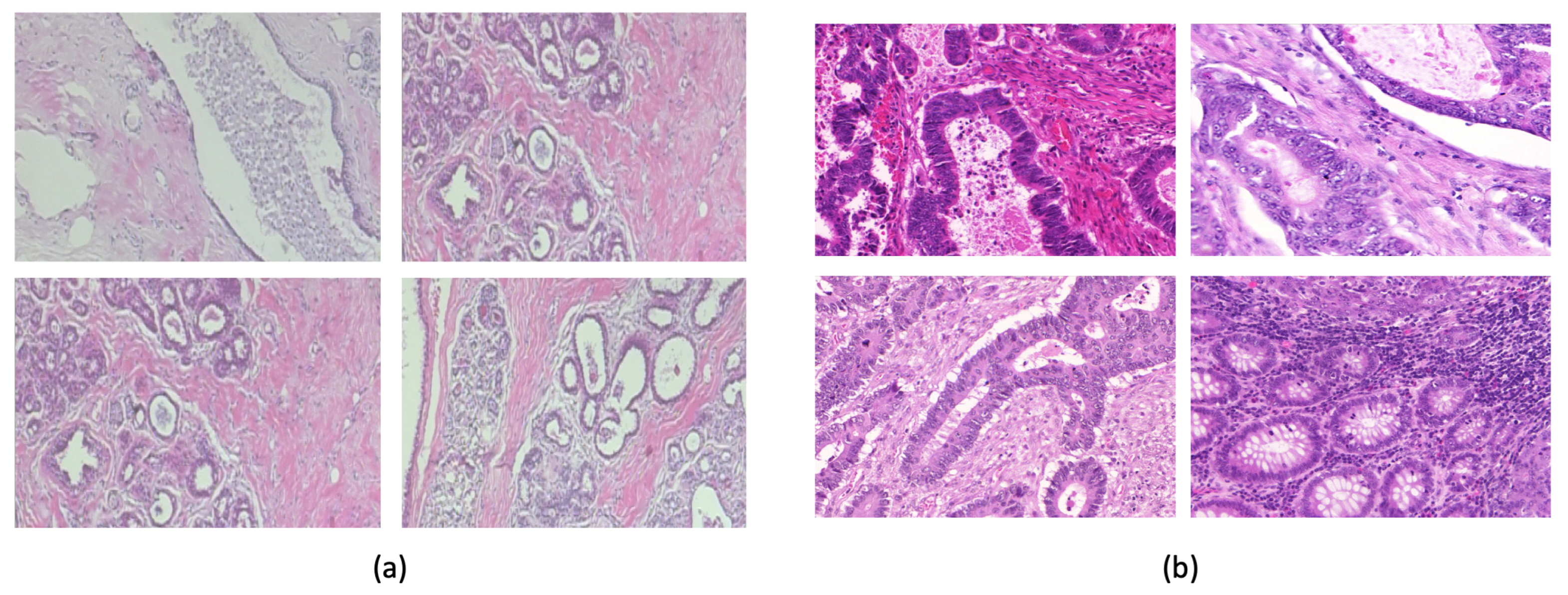 Biomimetics 09 00421 g003