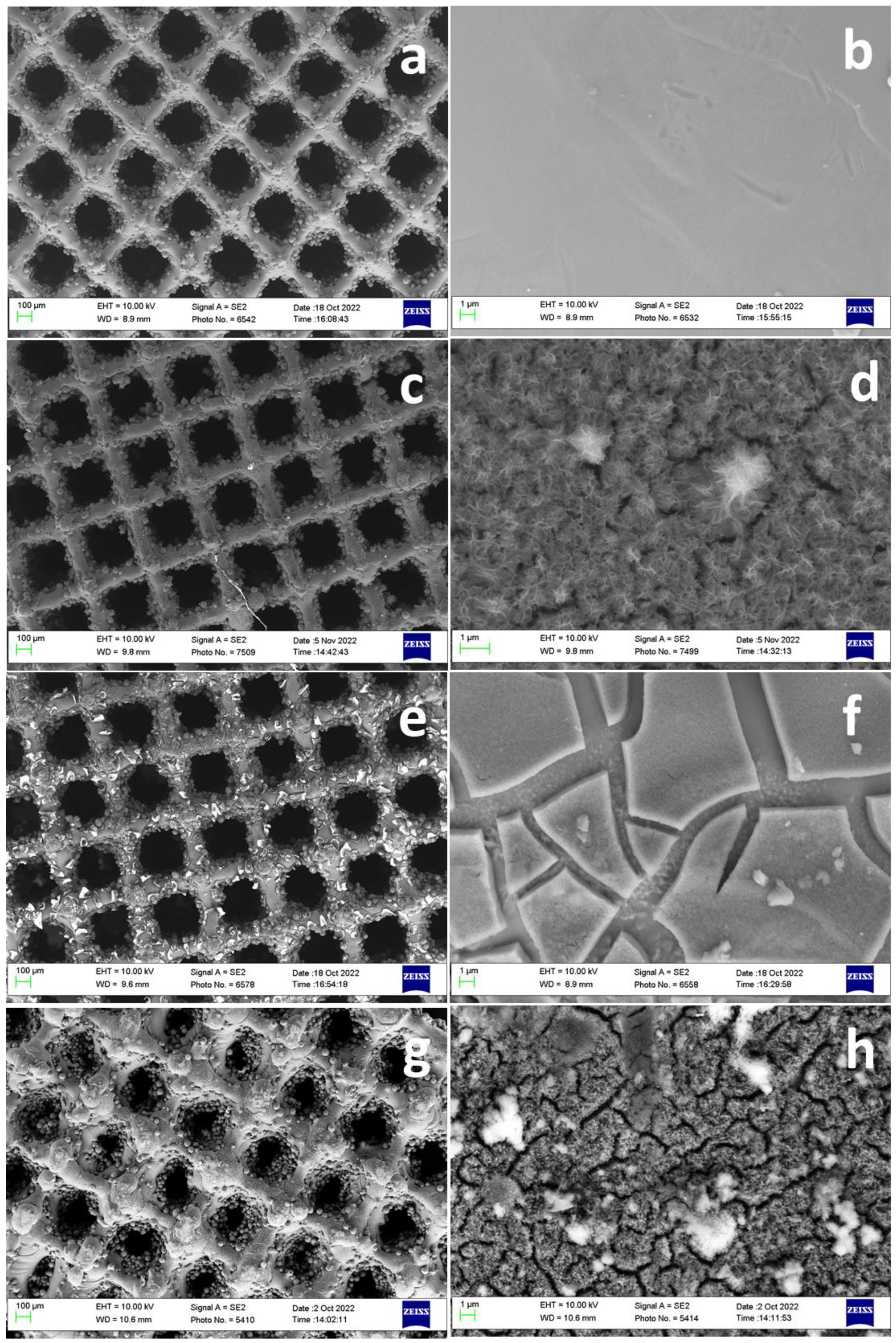 Biomimetics 09 00423 g004
