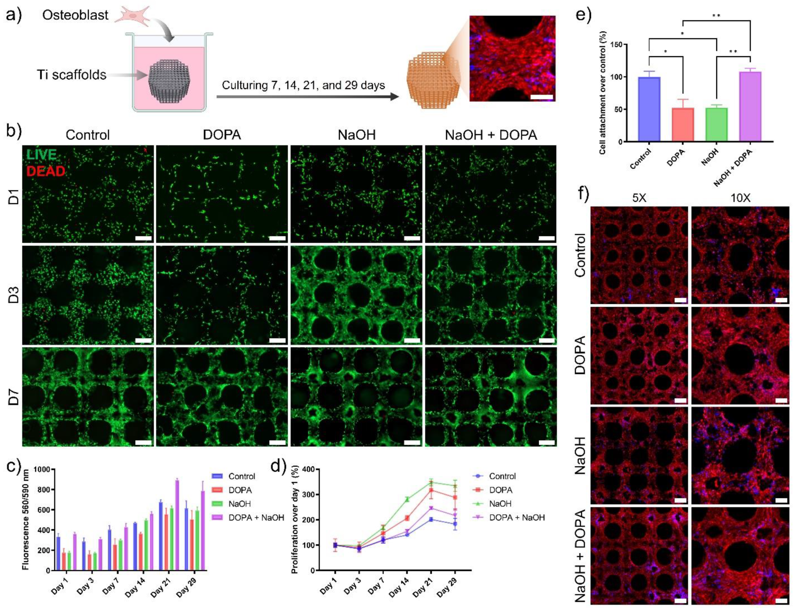 Biomimetics 09 00423 g005