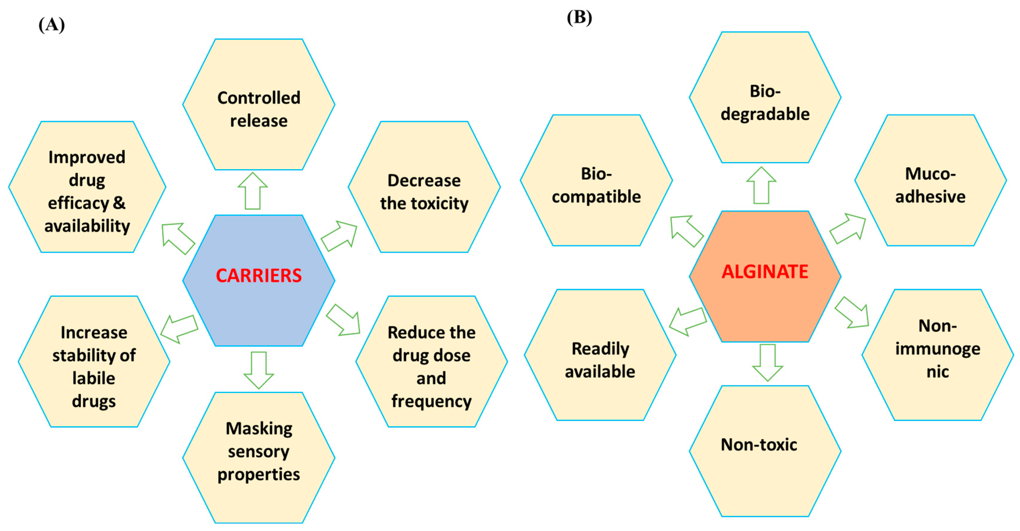 Biomimetics 09 00425 g004