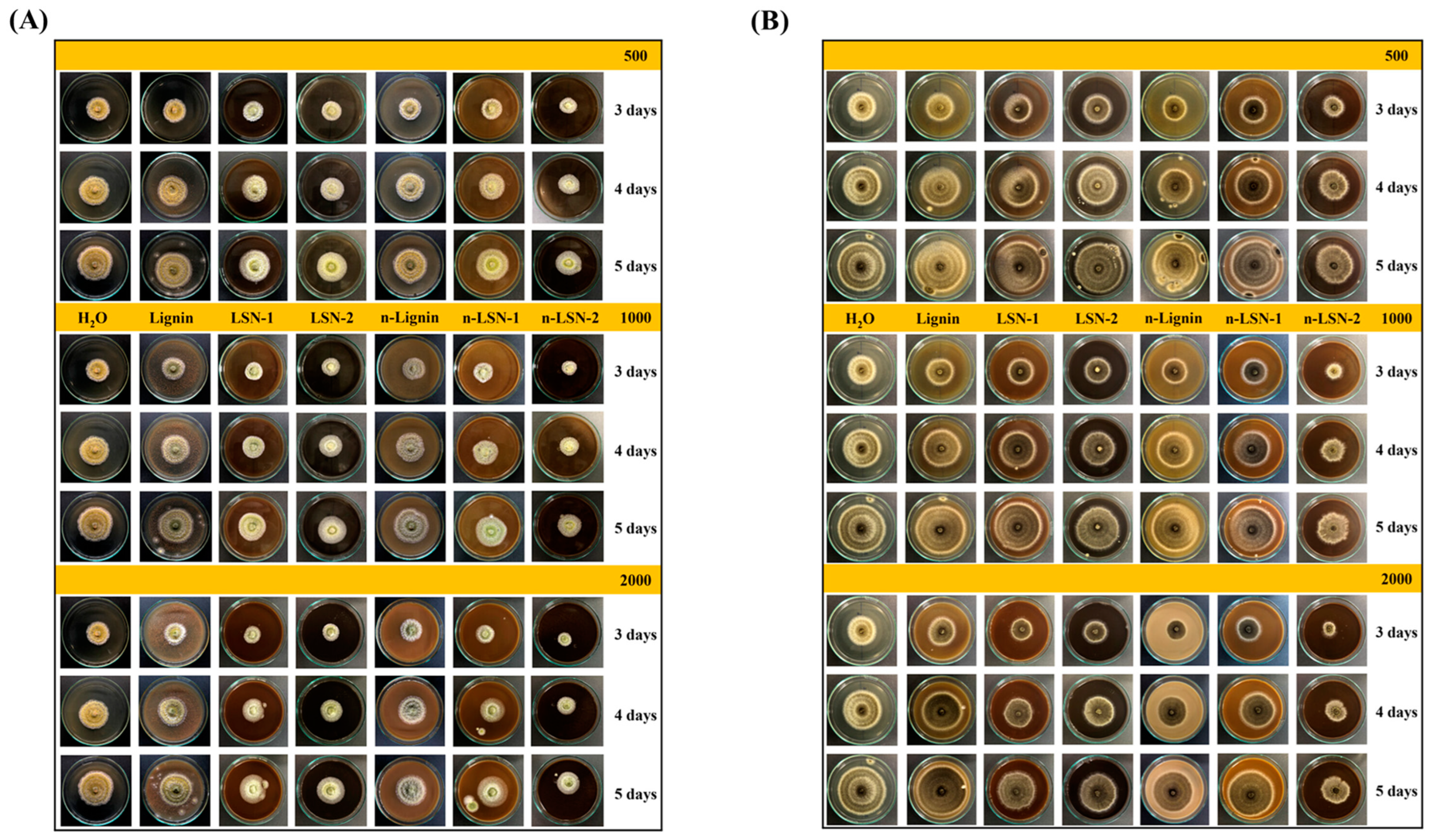 Biomimetics 09 00425 g008