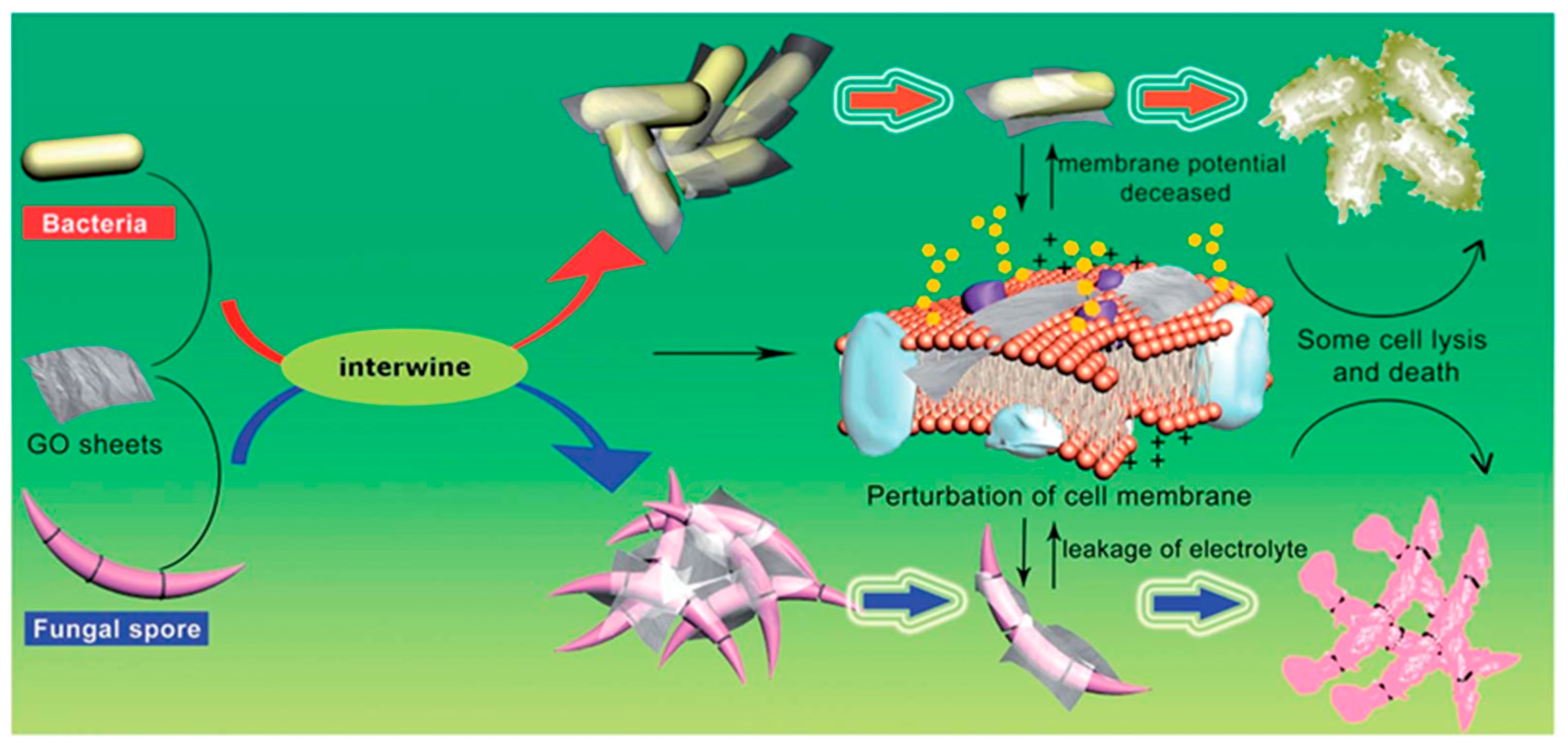 Biomimetics 09 00425 g009