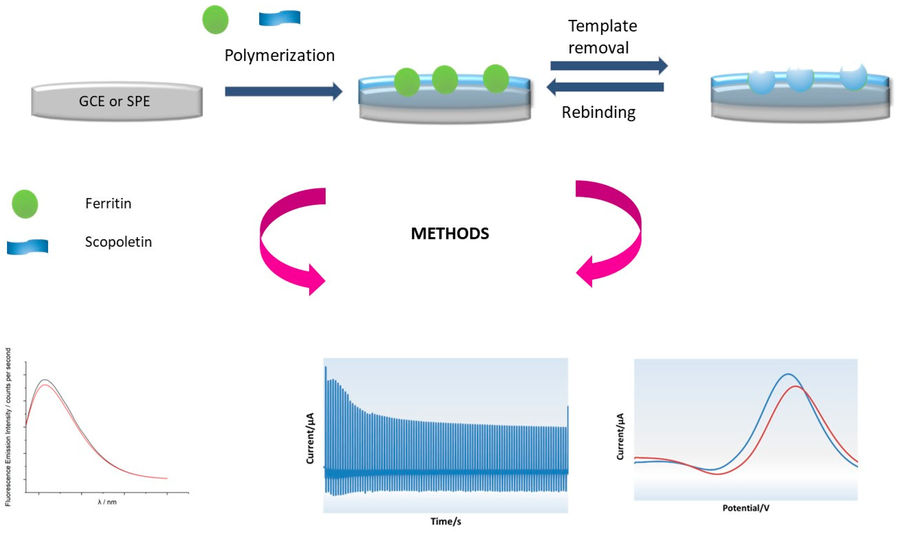 Biomimetics 09 00426 sch001