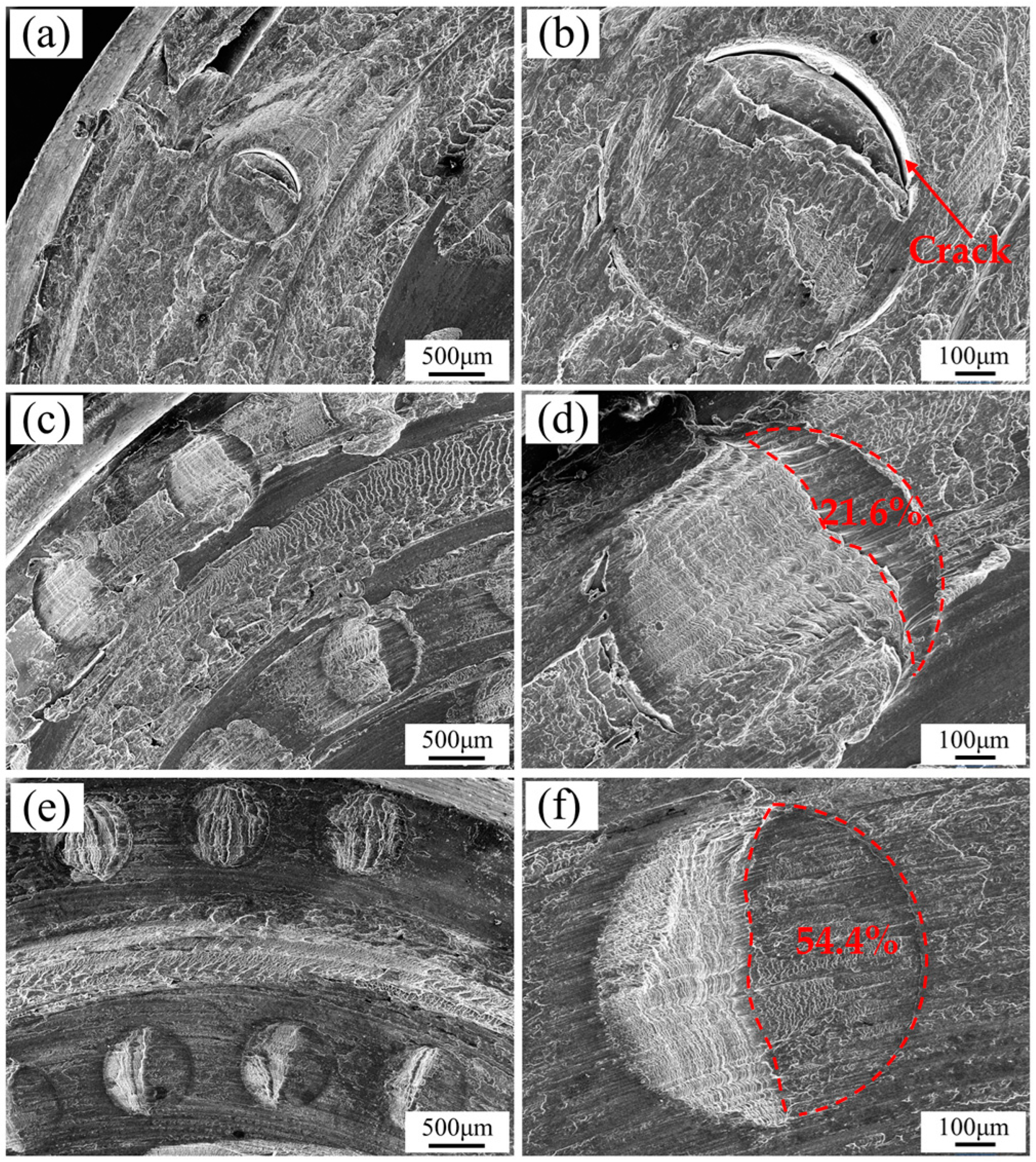 Biomimetics 09 00427 g011