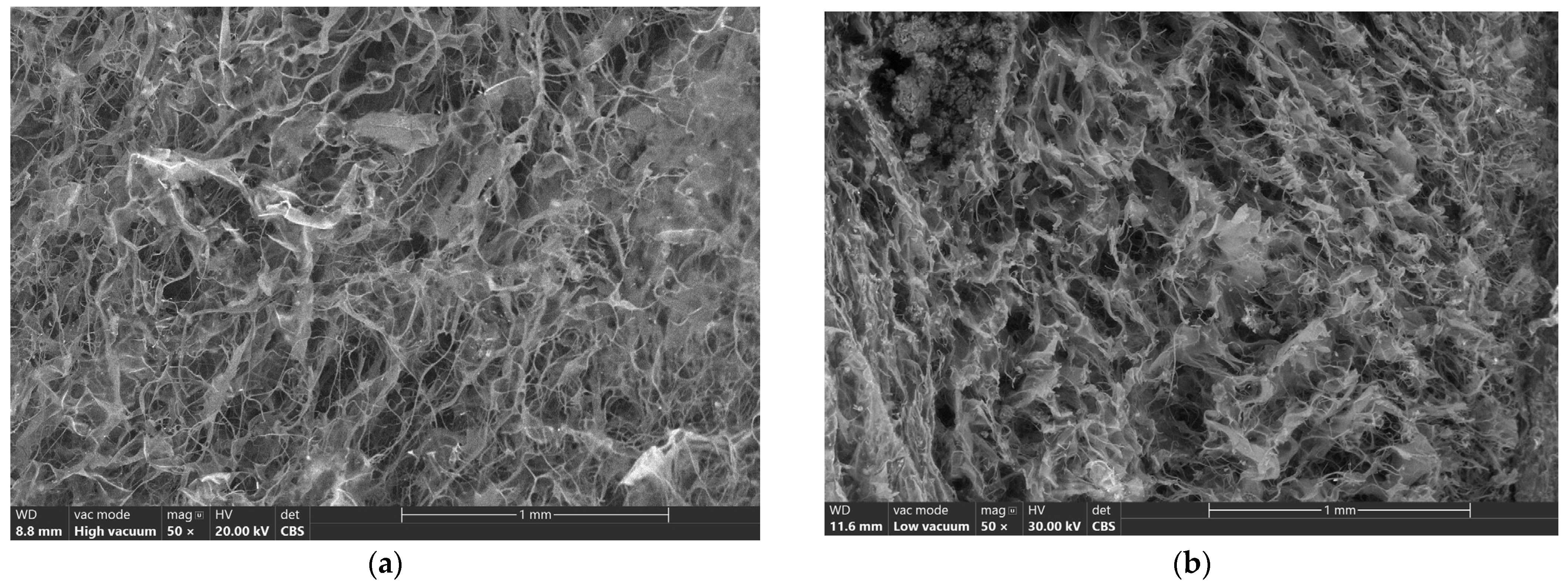 Biomimetics 09 00428 g003a